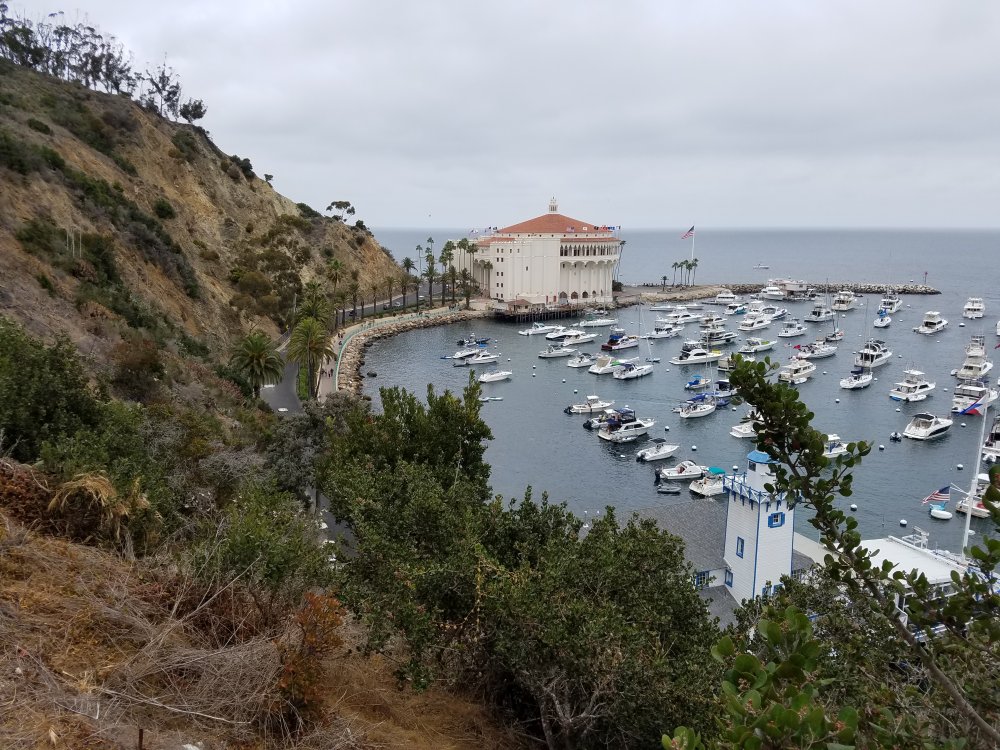 20180623_152645.jpg