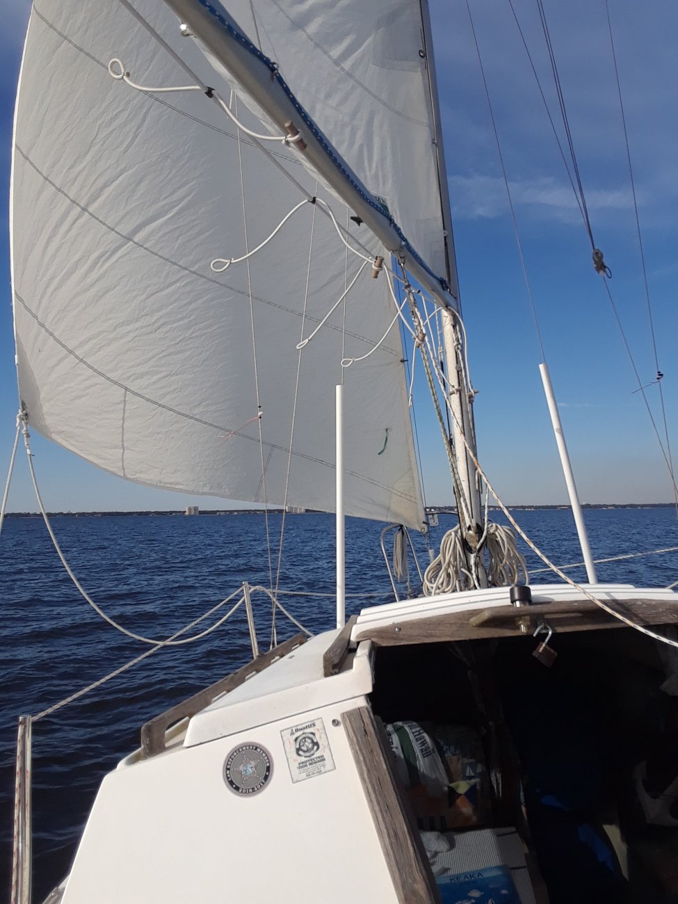 20190126_150742.jpg
