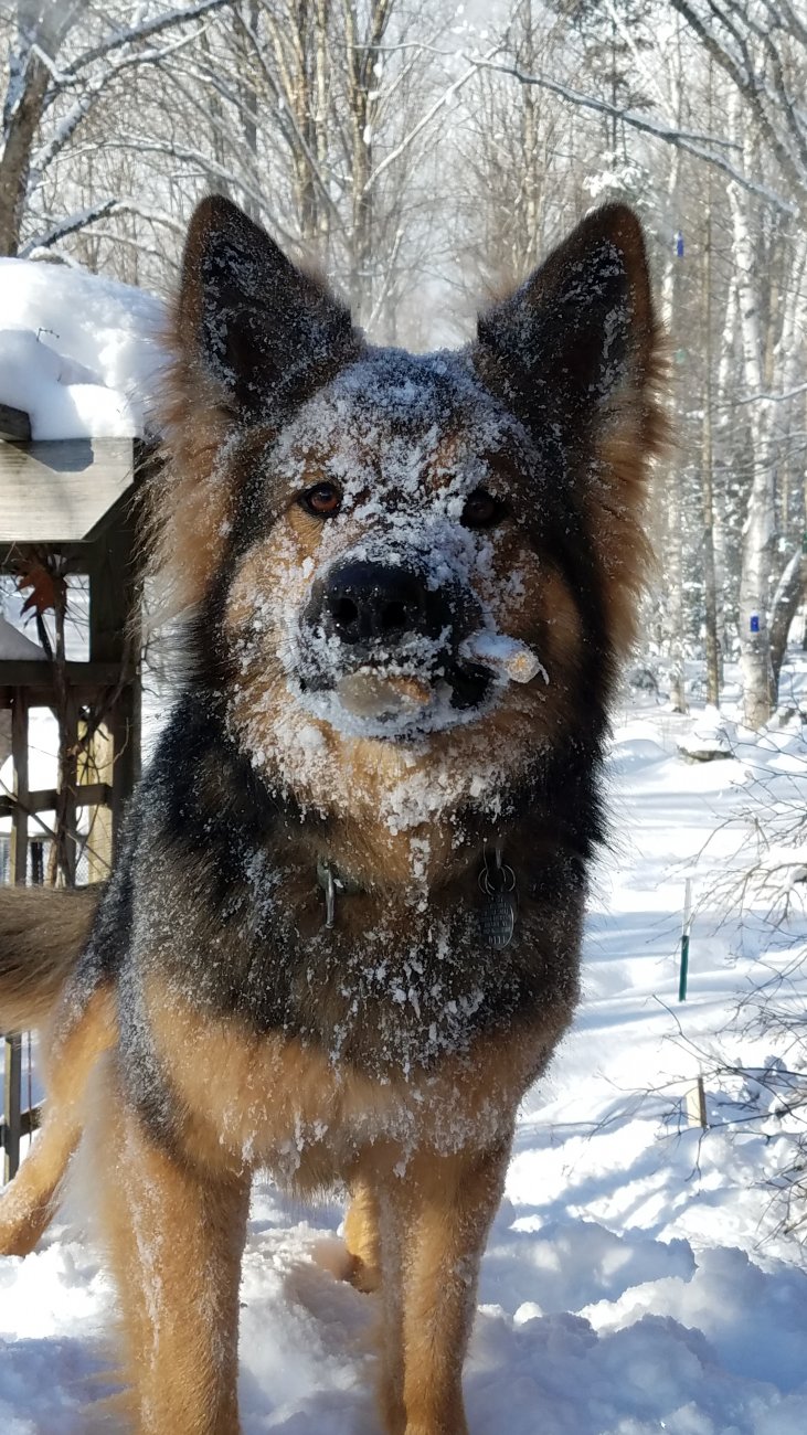 20190130_141706.jpg