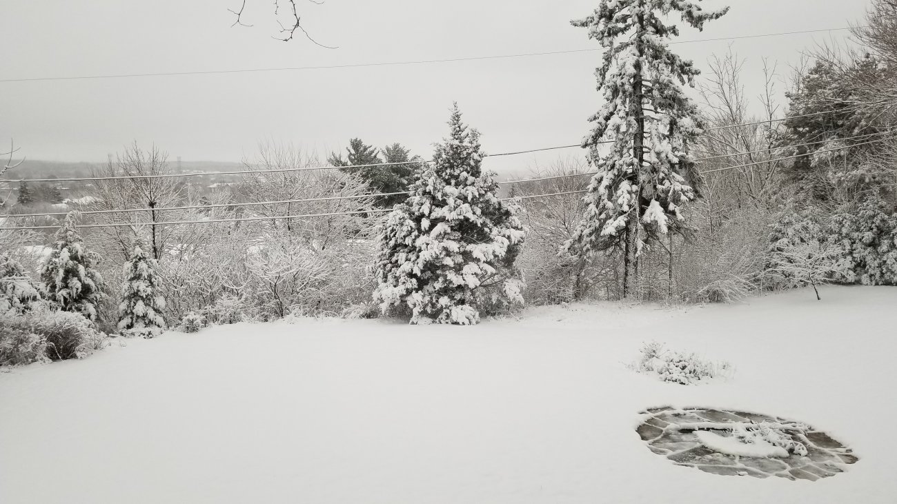 20190410_182550.jpg