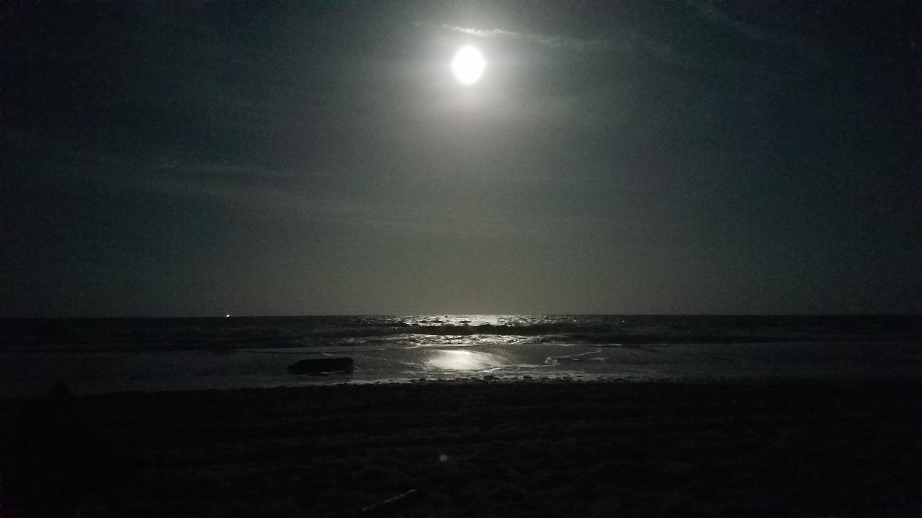 20190418_205930.jpg
