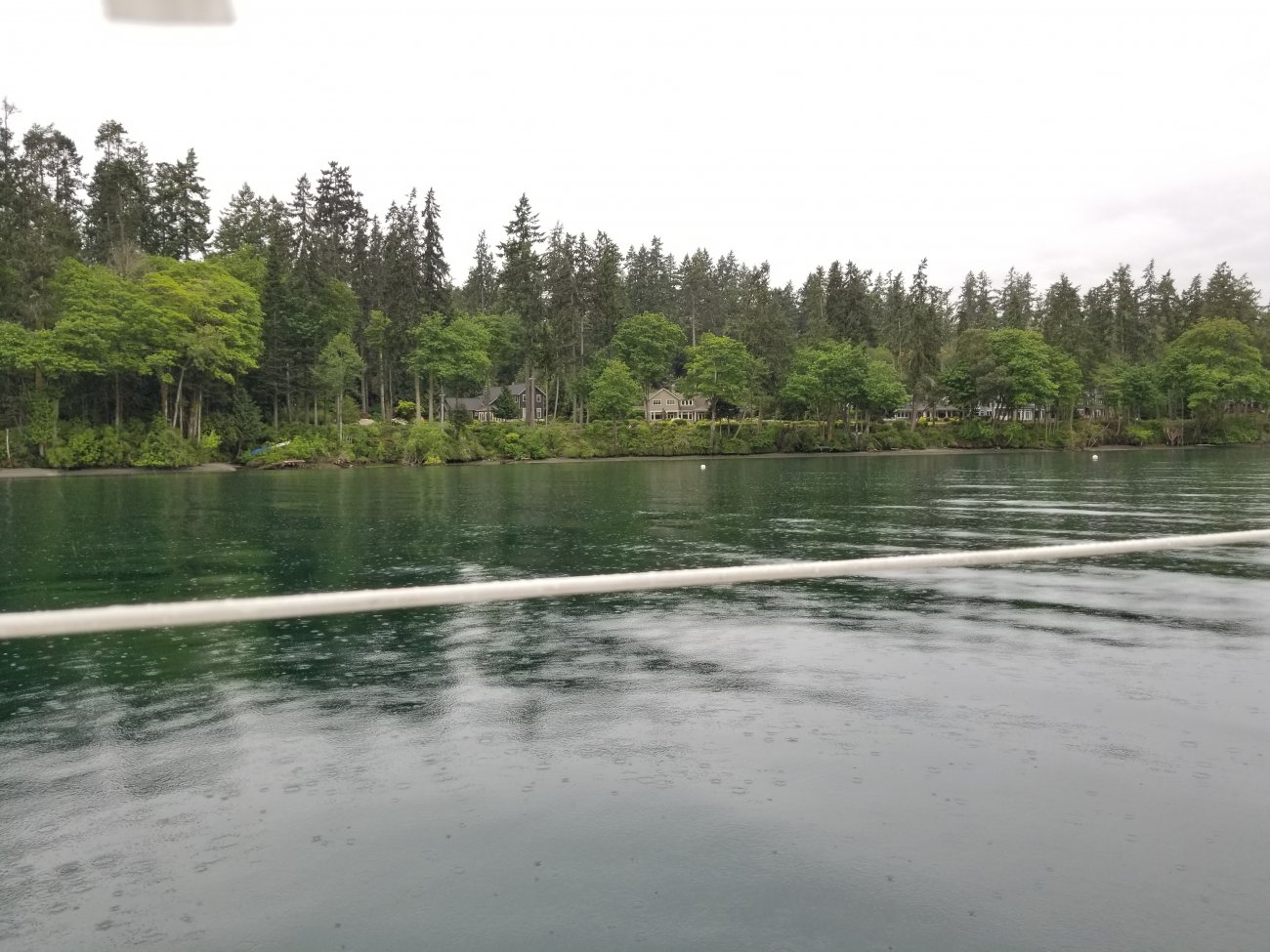 20190515_172029.jpg