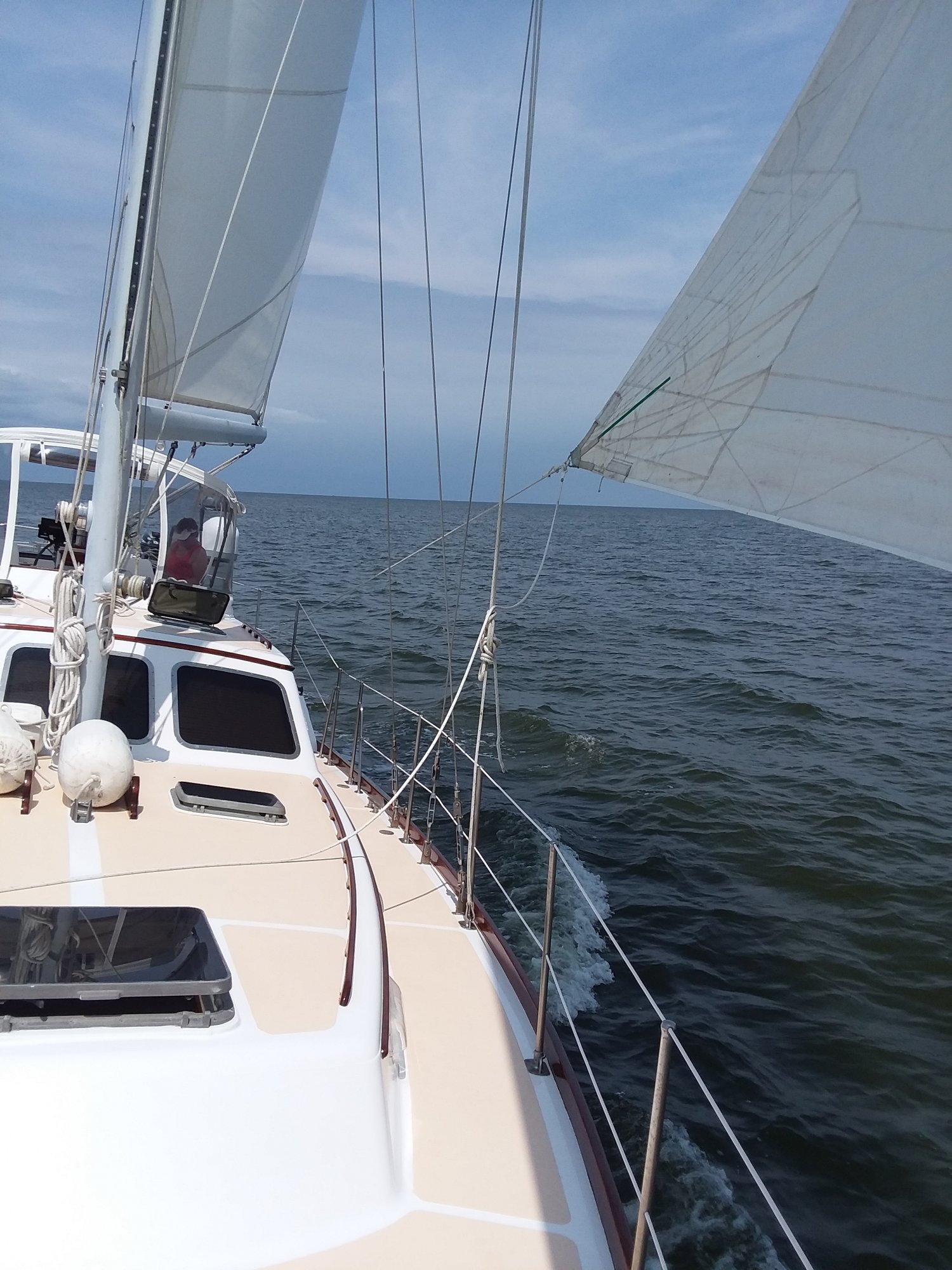 20190523_113002.jpg
