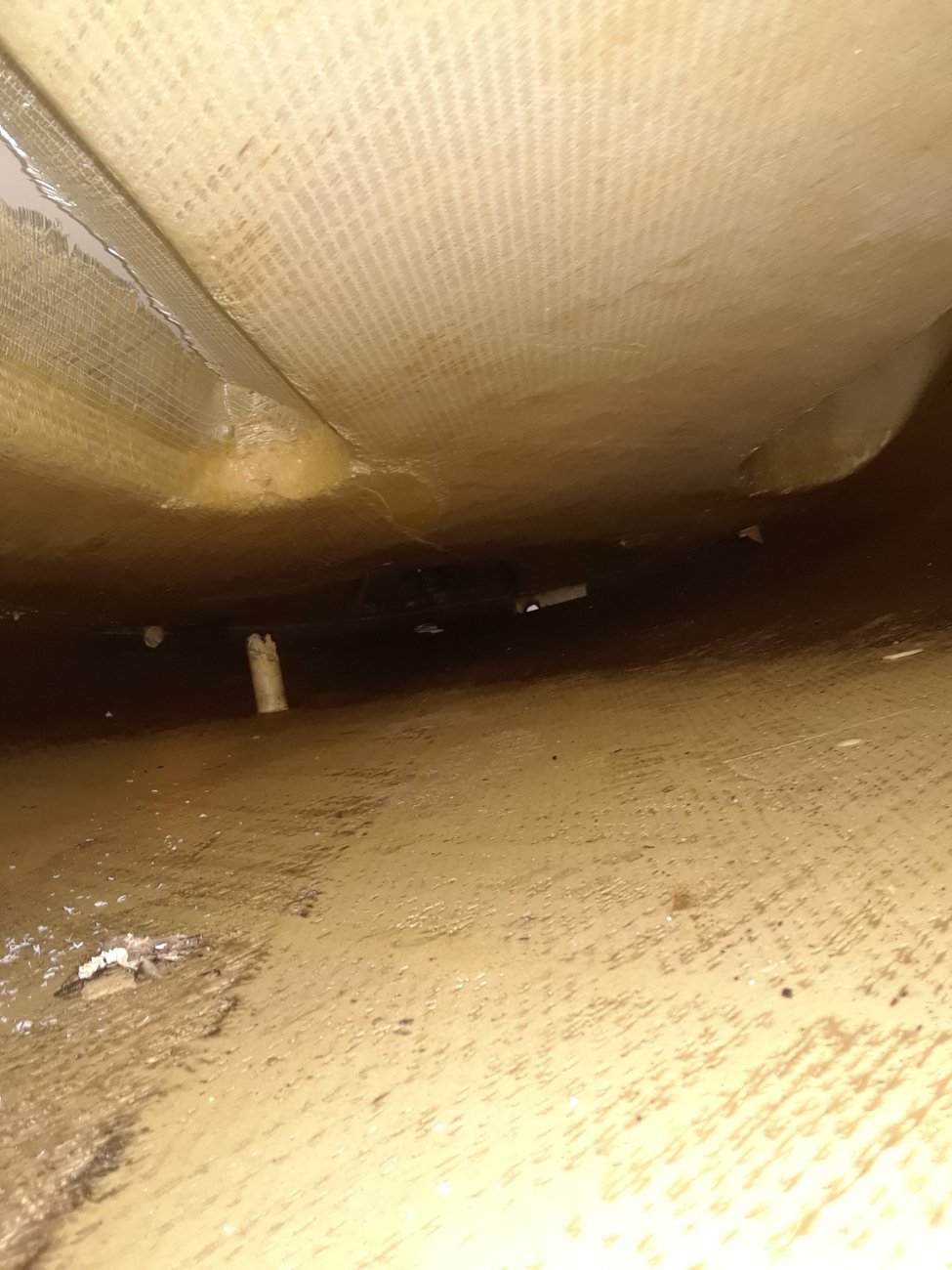 20190525_141717.jpg