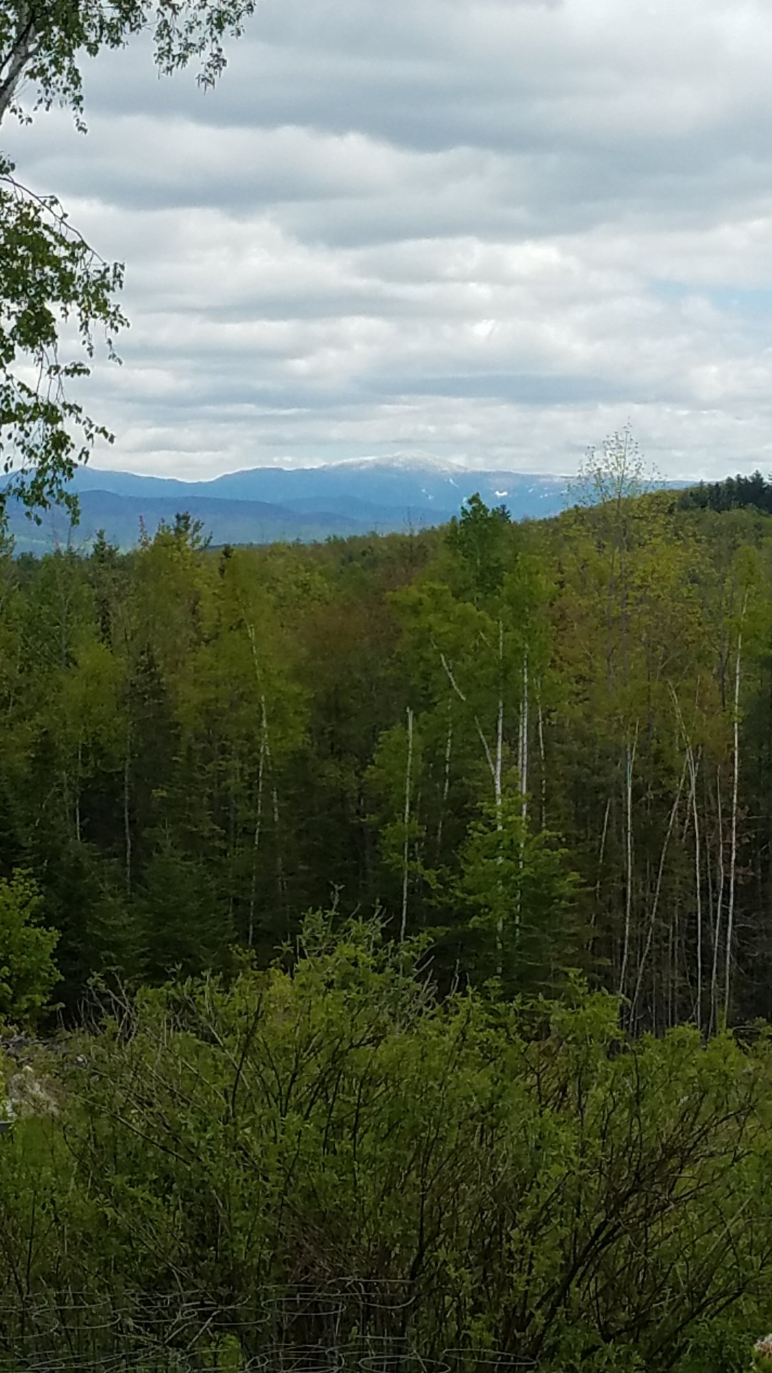 20190604_122056.jpg