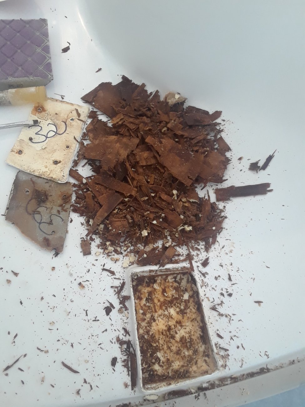 20190608_132349.jpg