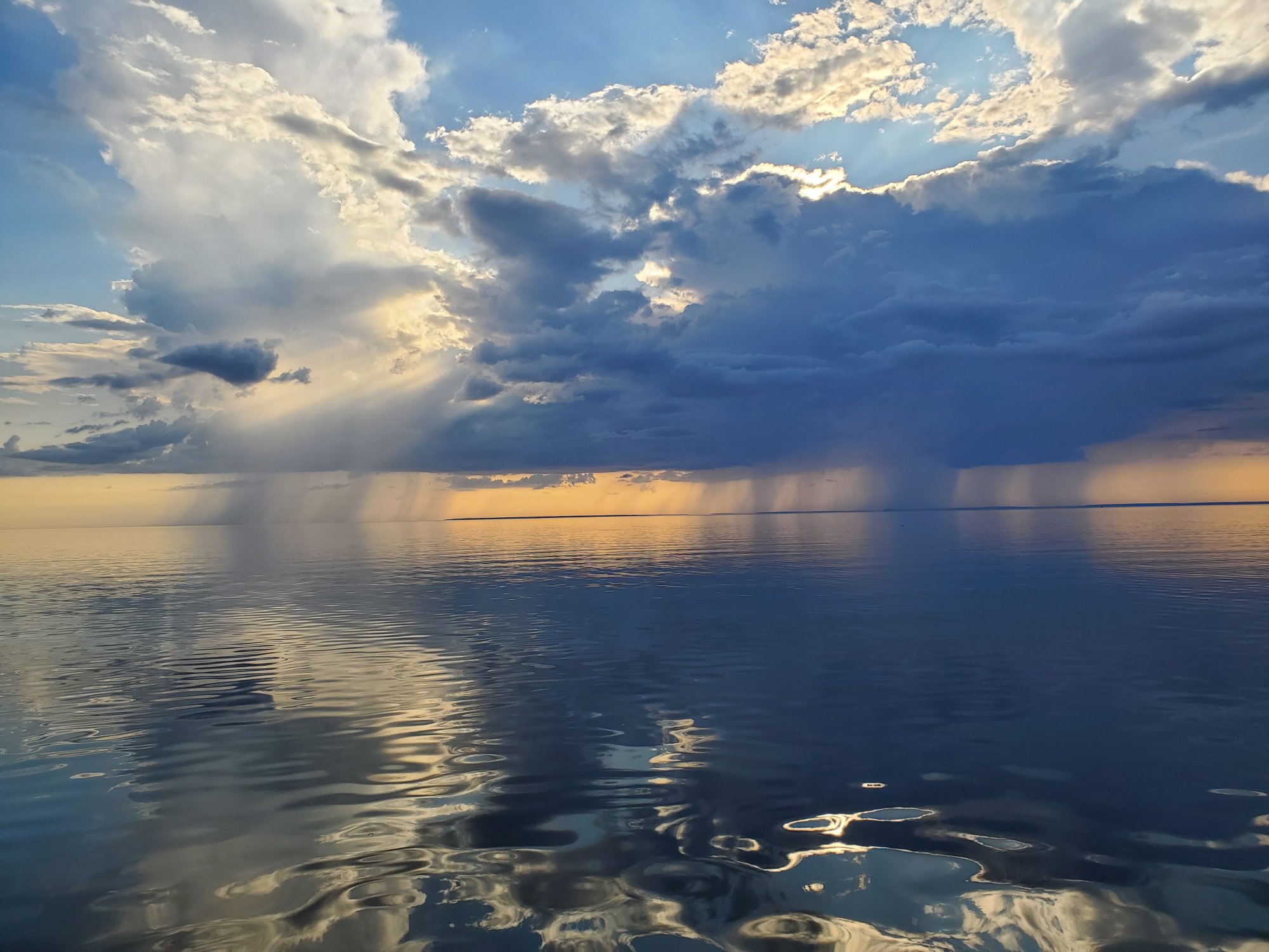 20190803_072051.jpg
