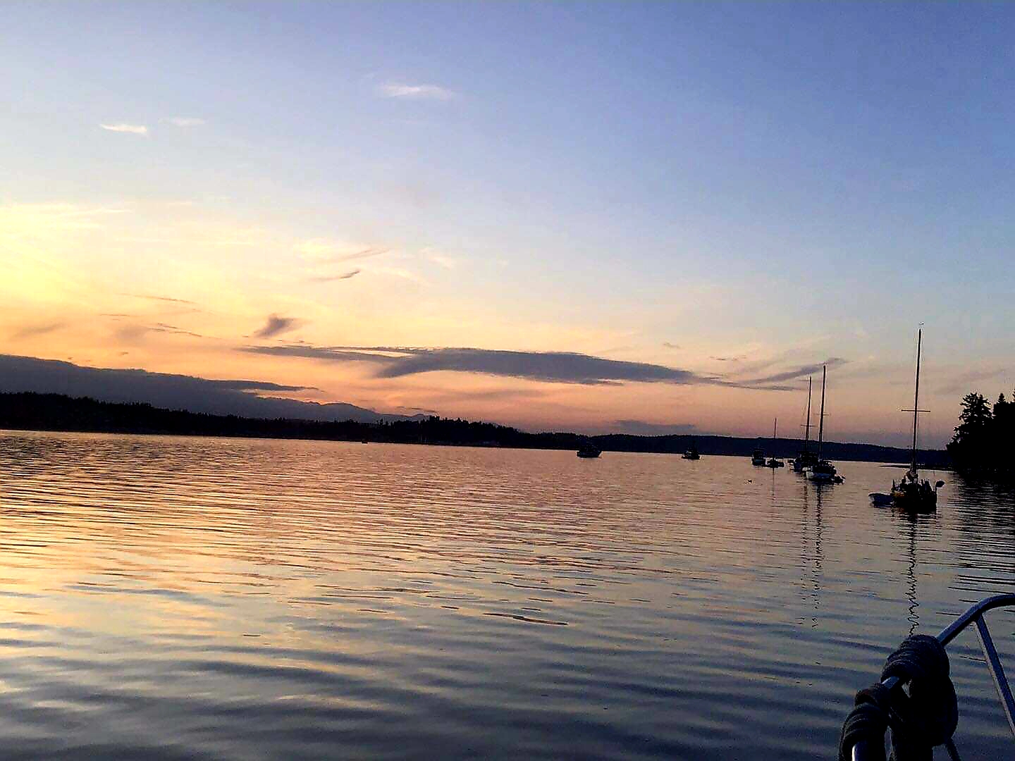 20190823_092336.jpg