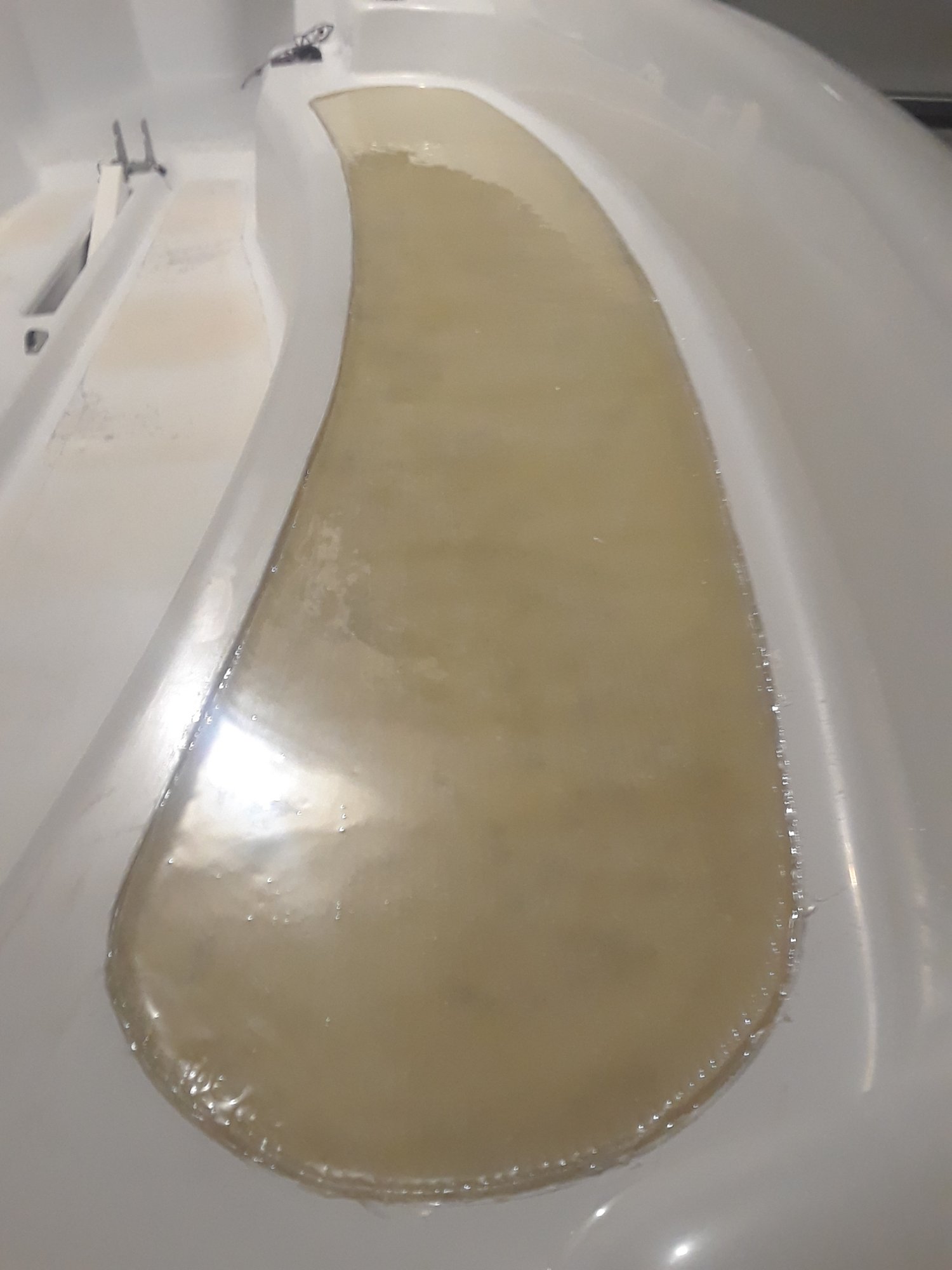 20190928_195515.jpg