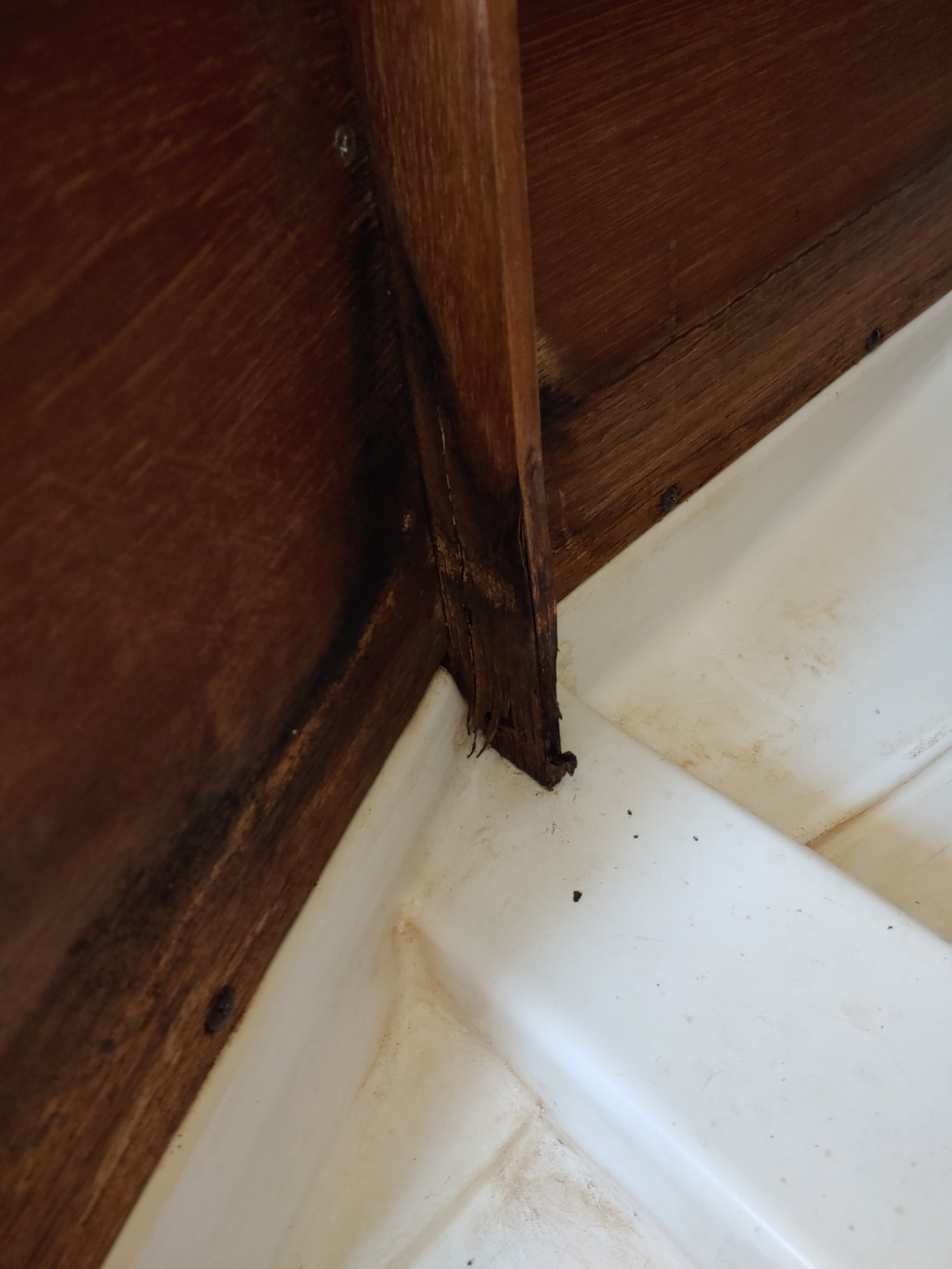 20190930_100544.jpg
