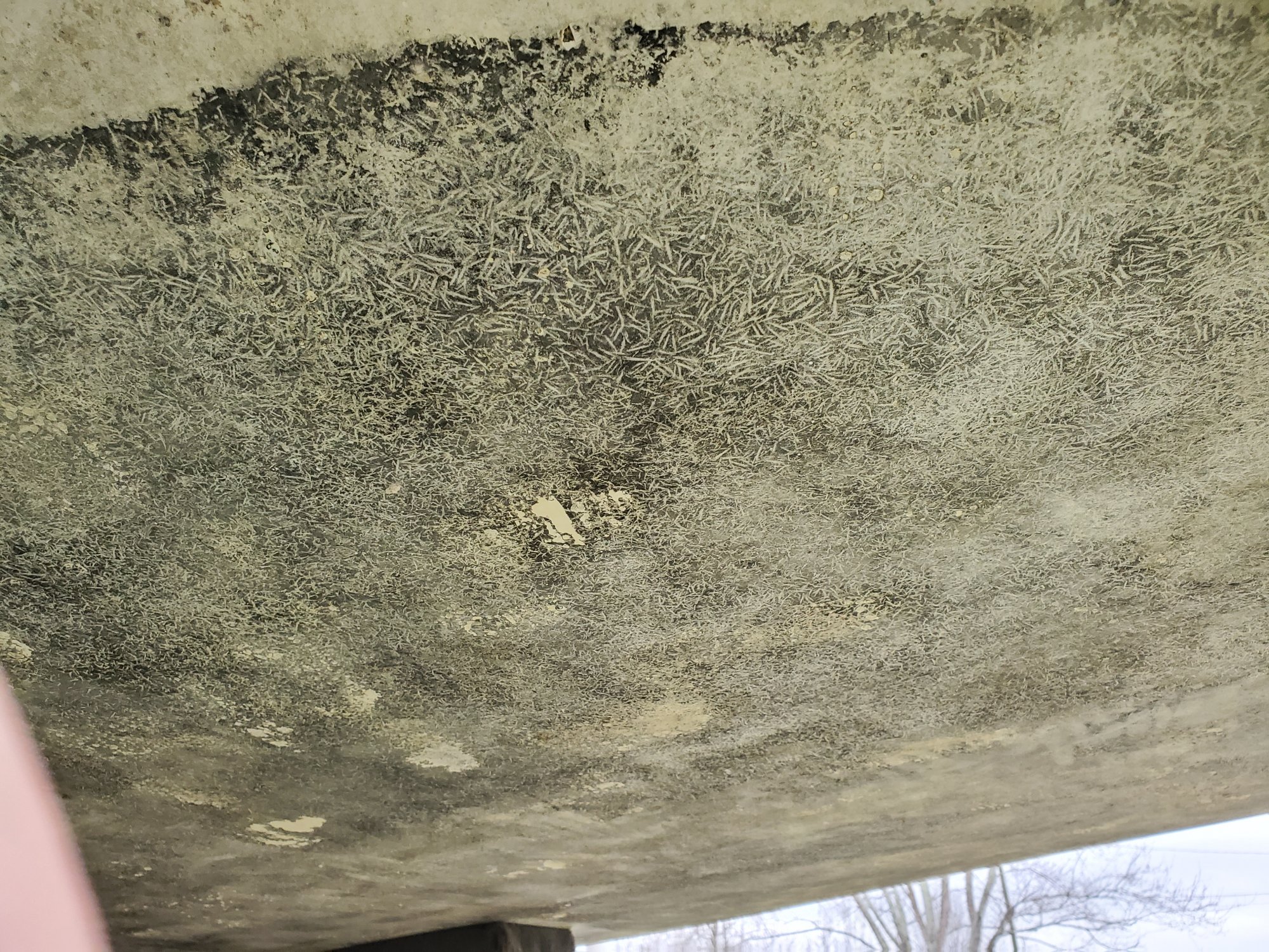 20191221_145214.jpg