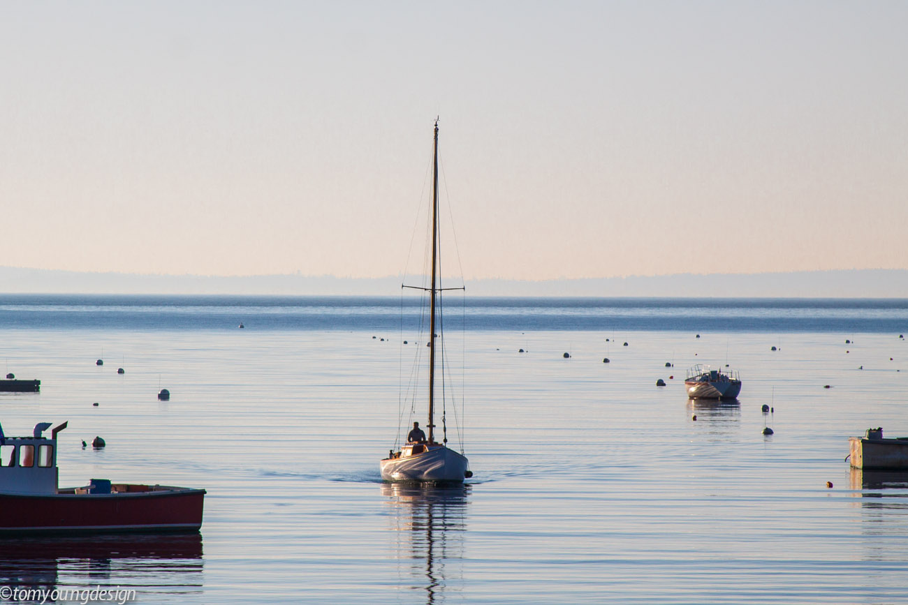 2020 last few boats come in._.jpg