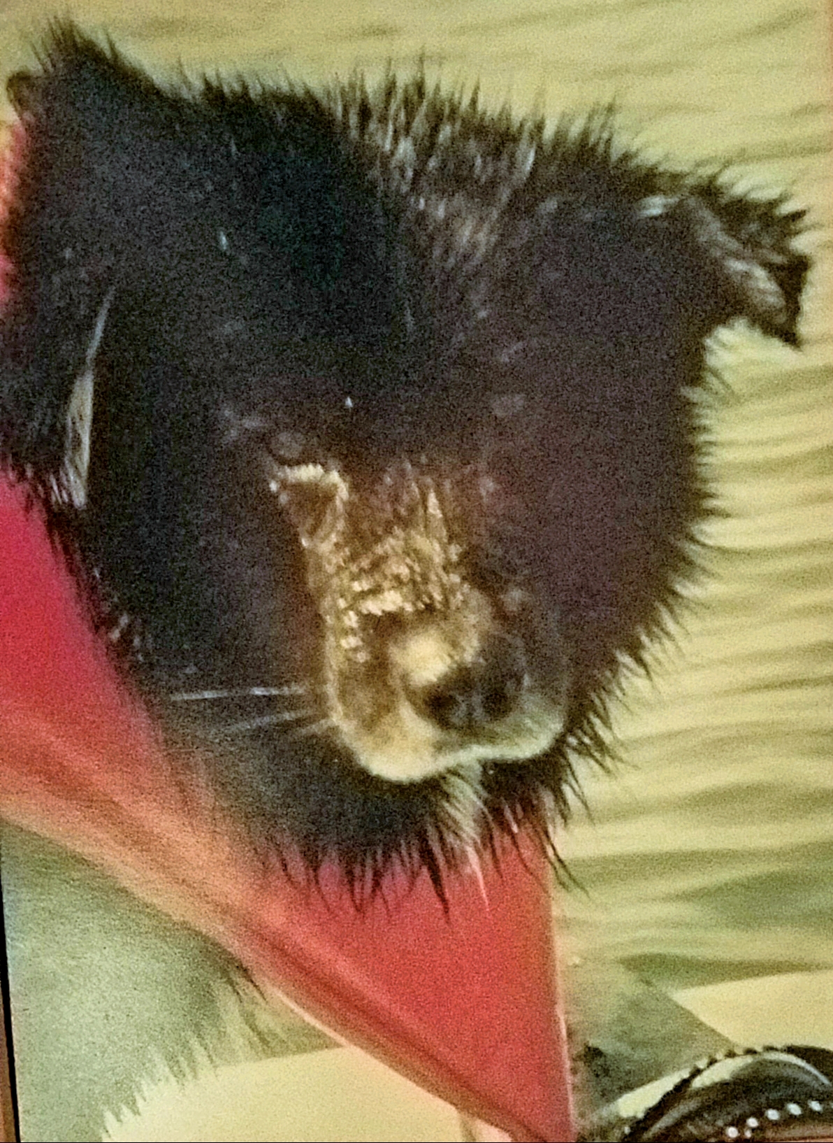20200112_235240.jpg