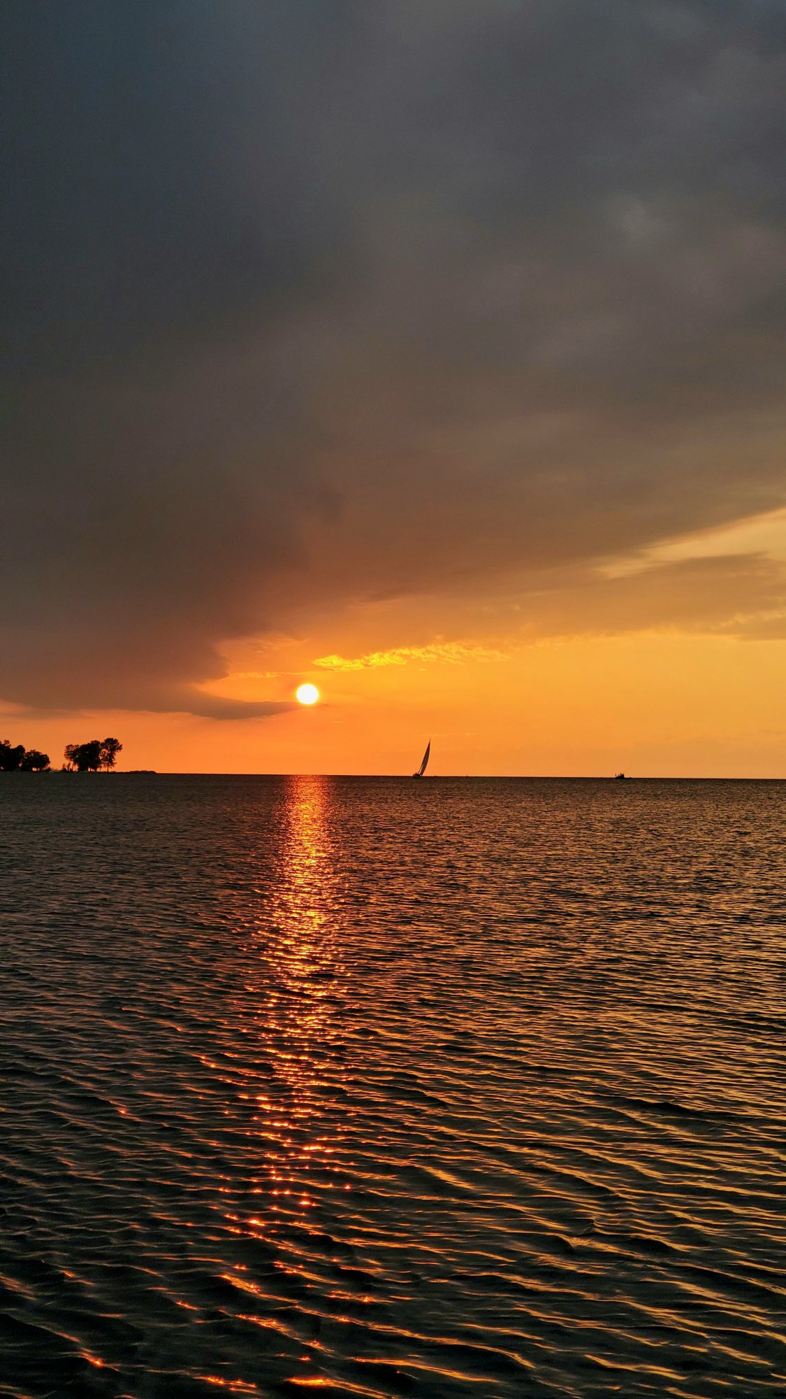 20200708_190749.jpg