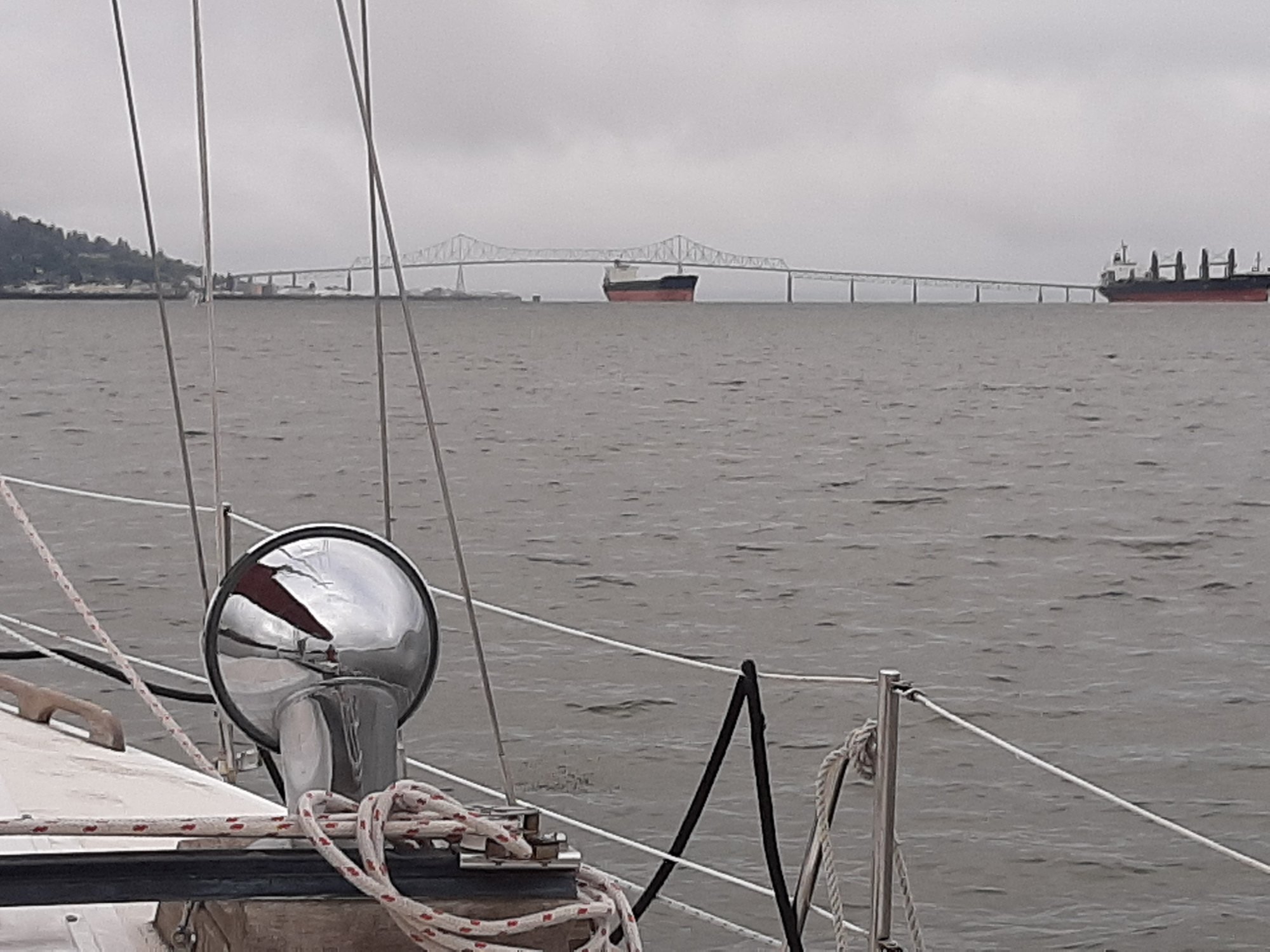 20200721_091856.jpg