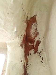 20200908_161555.jpg