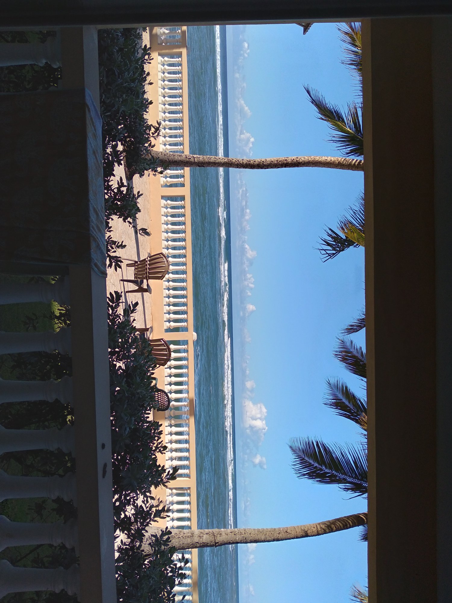 20201126_161543.jpg
