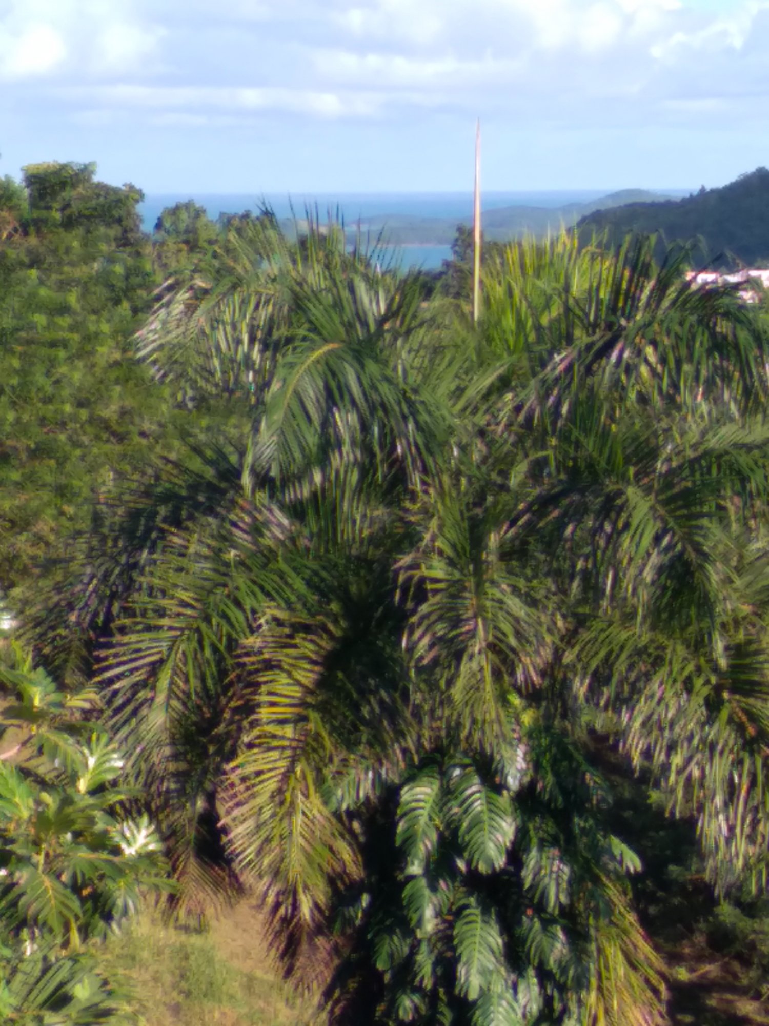 20201129_154747.jpg