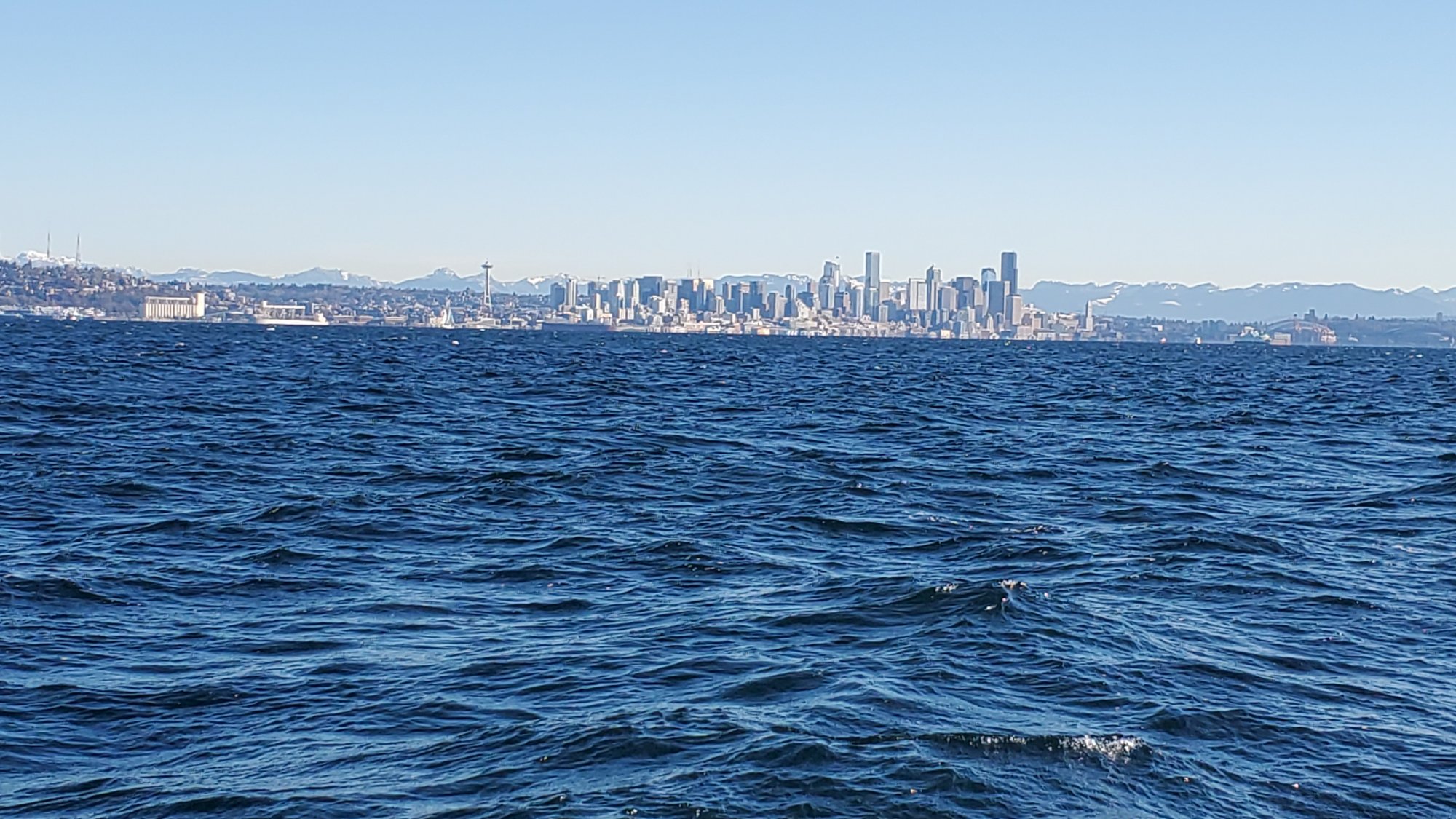 20201228_115911.jpg