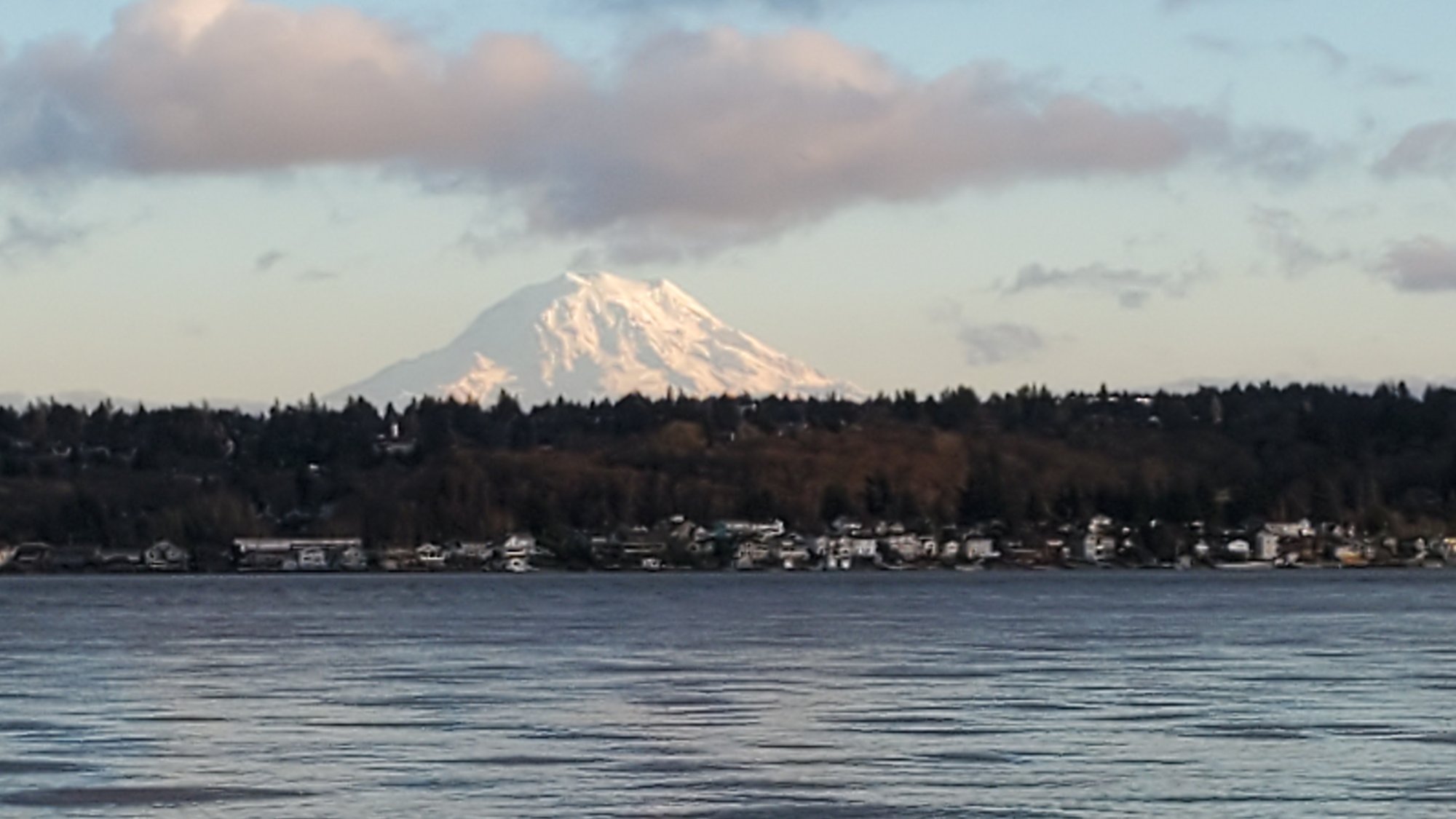 20201228_155155.jpg