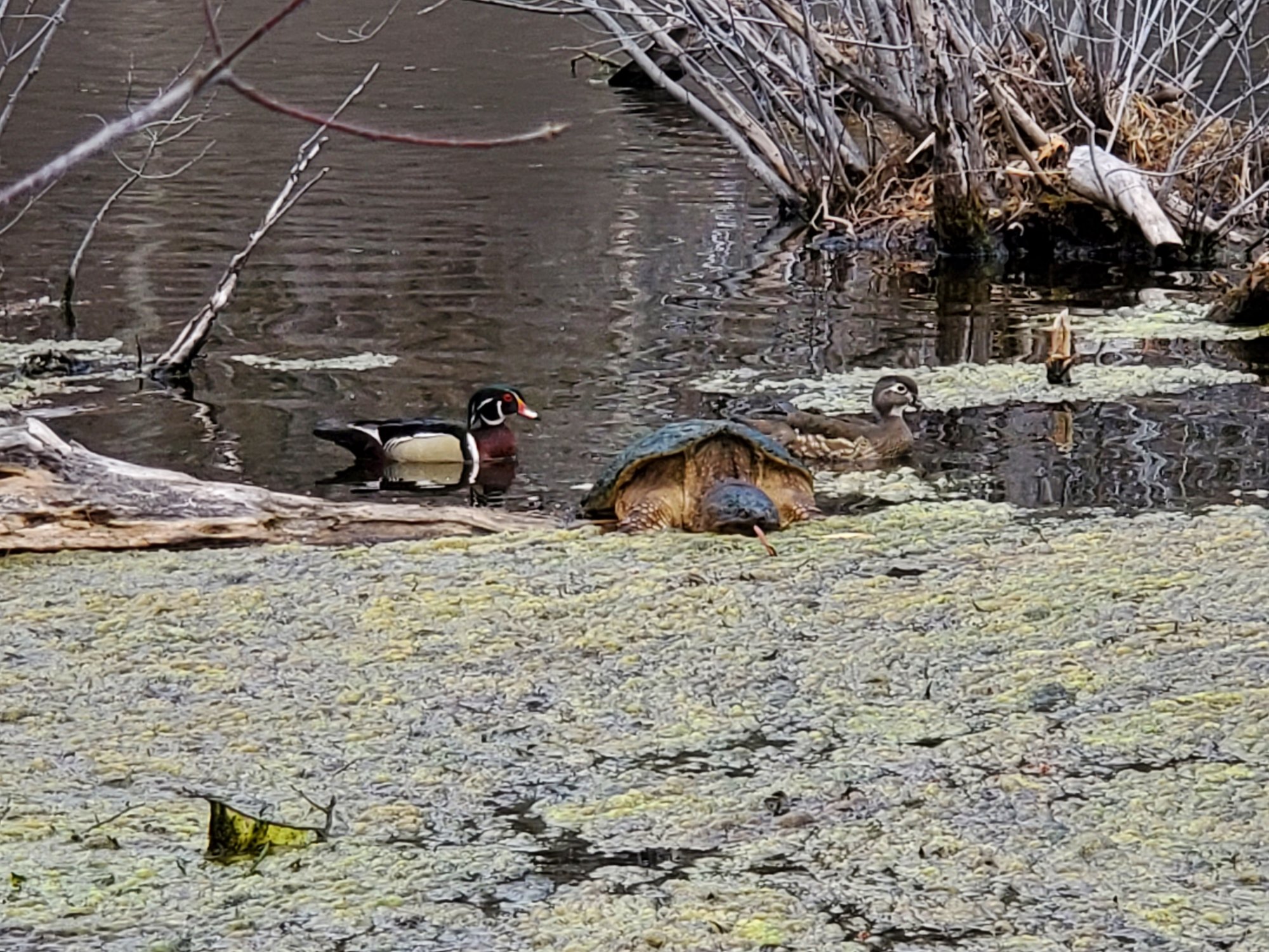 20210413_114138.jpg
