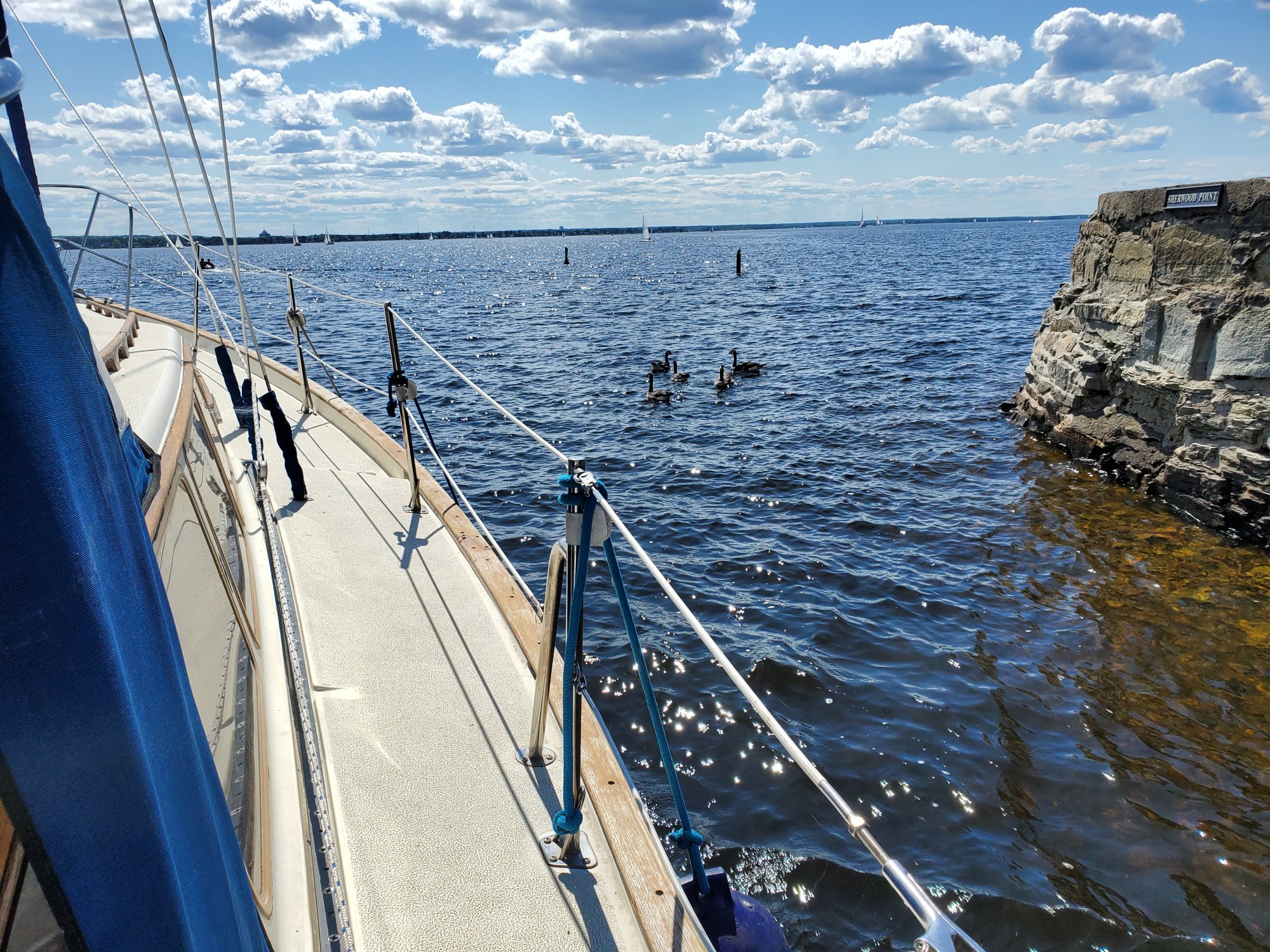 20210710_153748.jpg