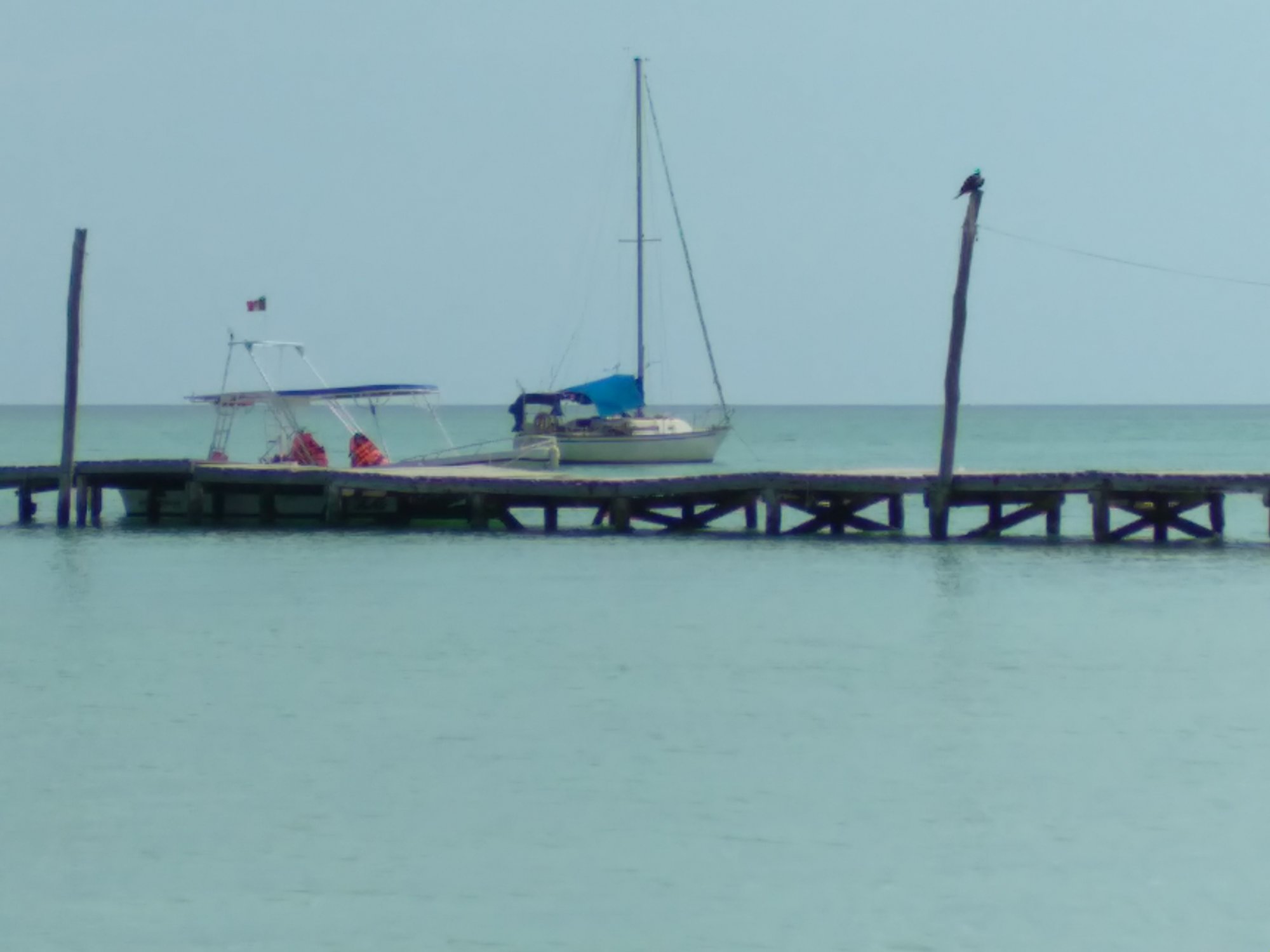 20220719_105306.jpg