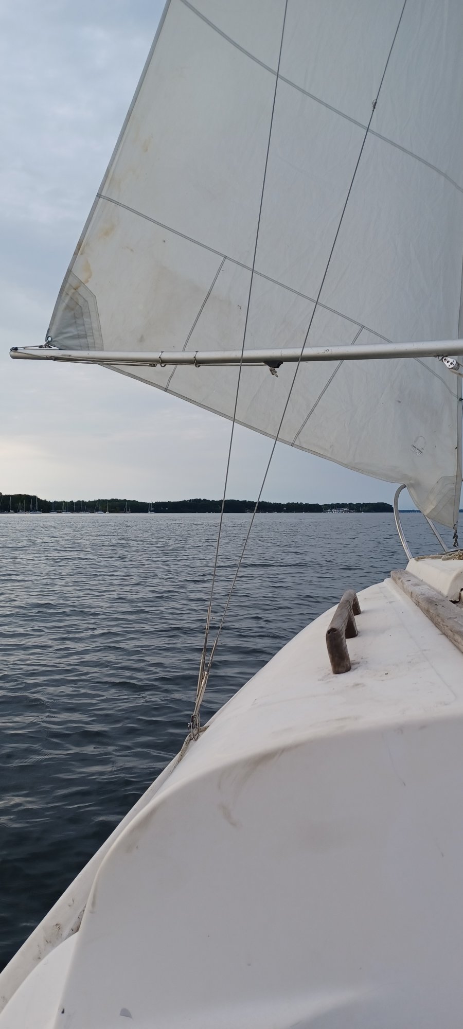 20220917_175224.jpg