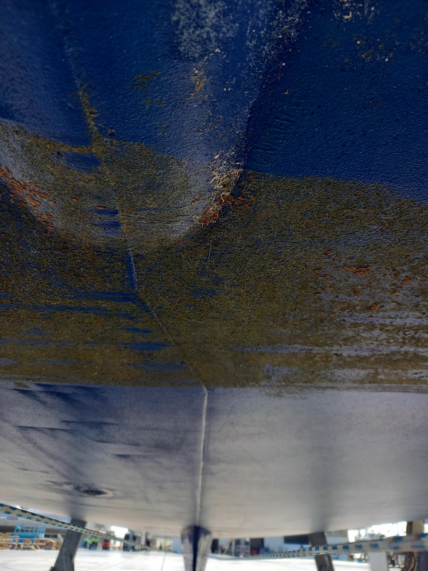 20251013_153342.jpg