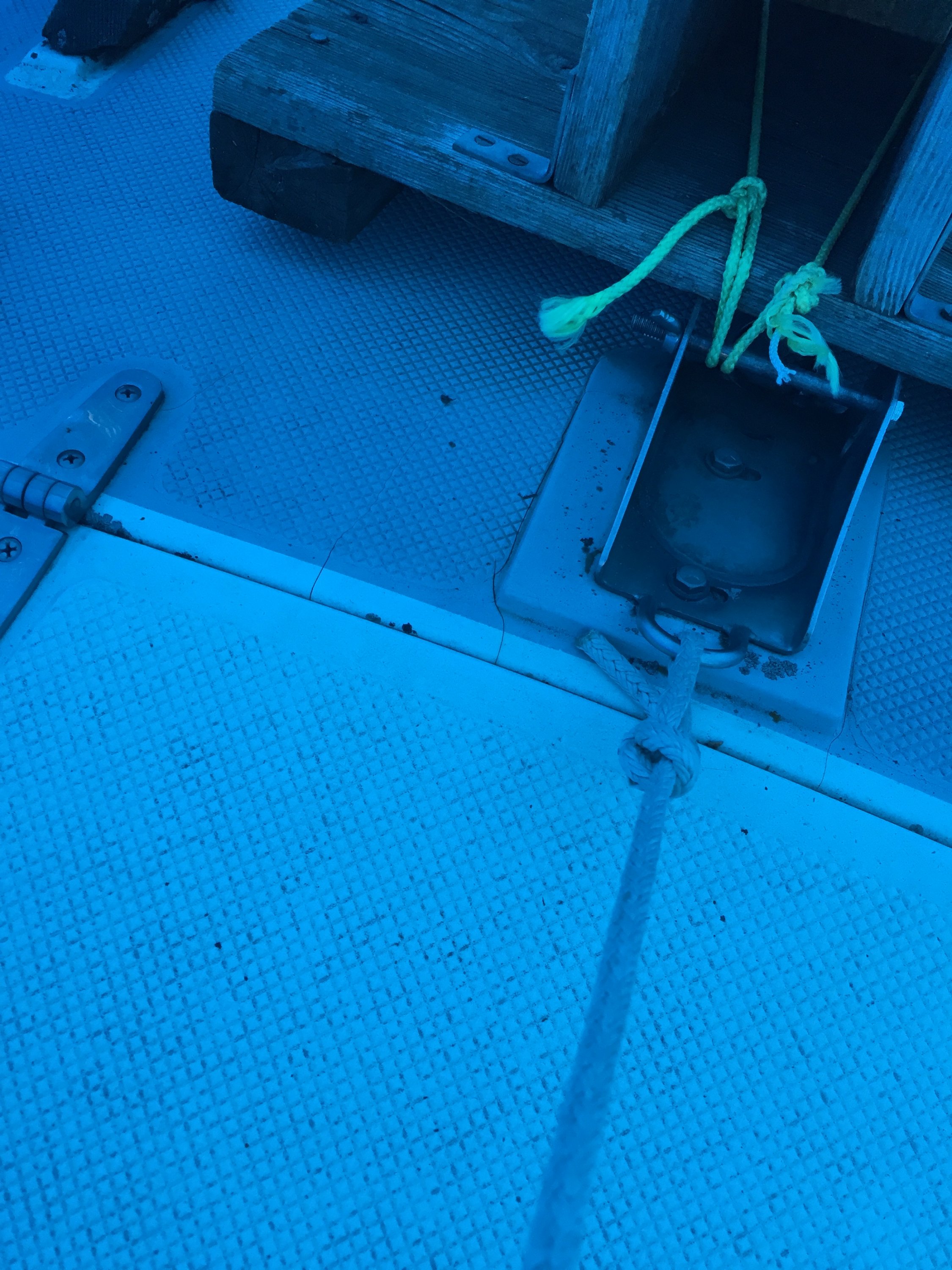2D48CE21-2092-464E-BDC3-C6AAE35CBF17.jpeg
