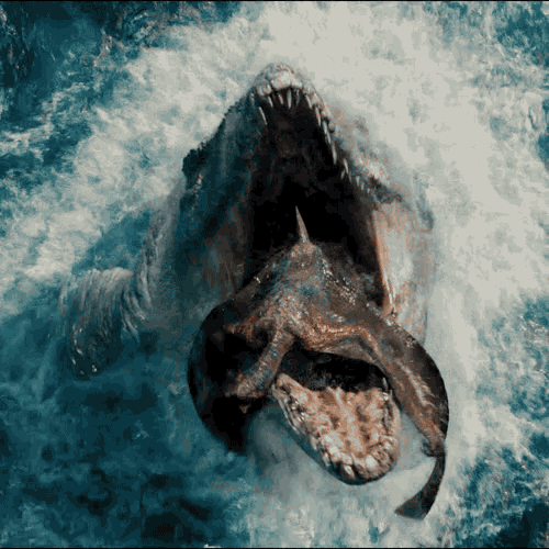 314DF612-D774-4DF0-A2AA-C0A28F7E997E.gif