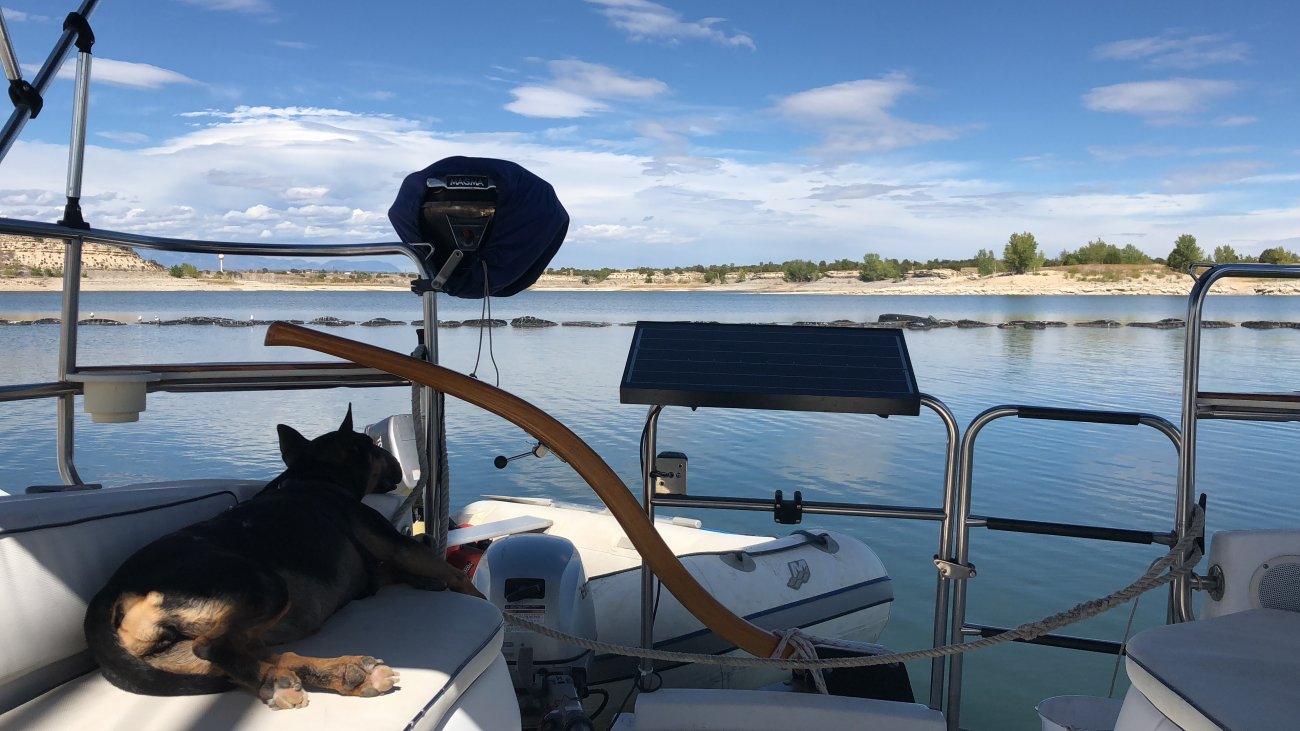 399FB7CD-D2B0-472D-80E3-651C0BF842F5.jpeg