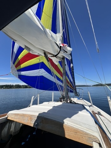 3A2F9797-347A-4285-84D4-EE0E376A04D2_4_5005_c.jpeg