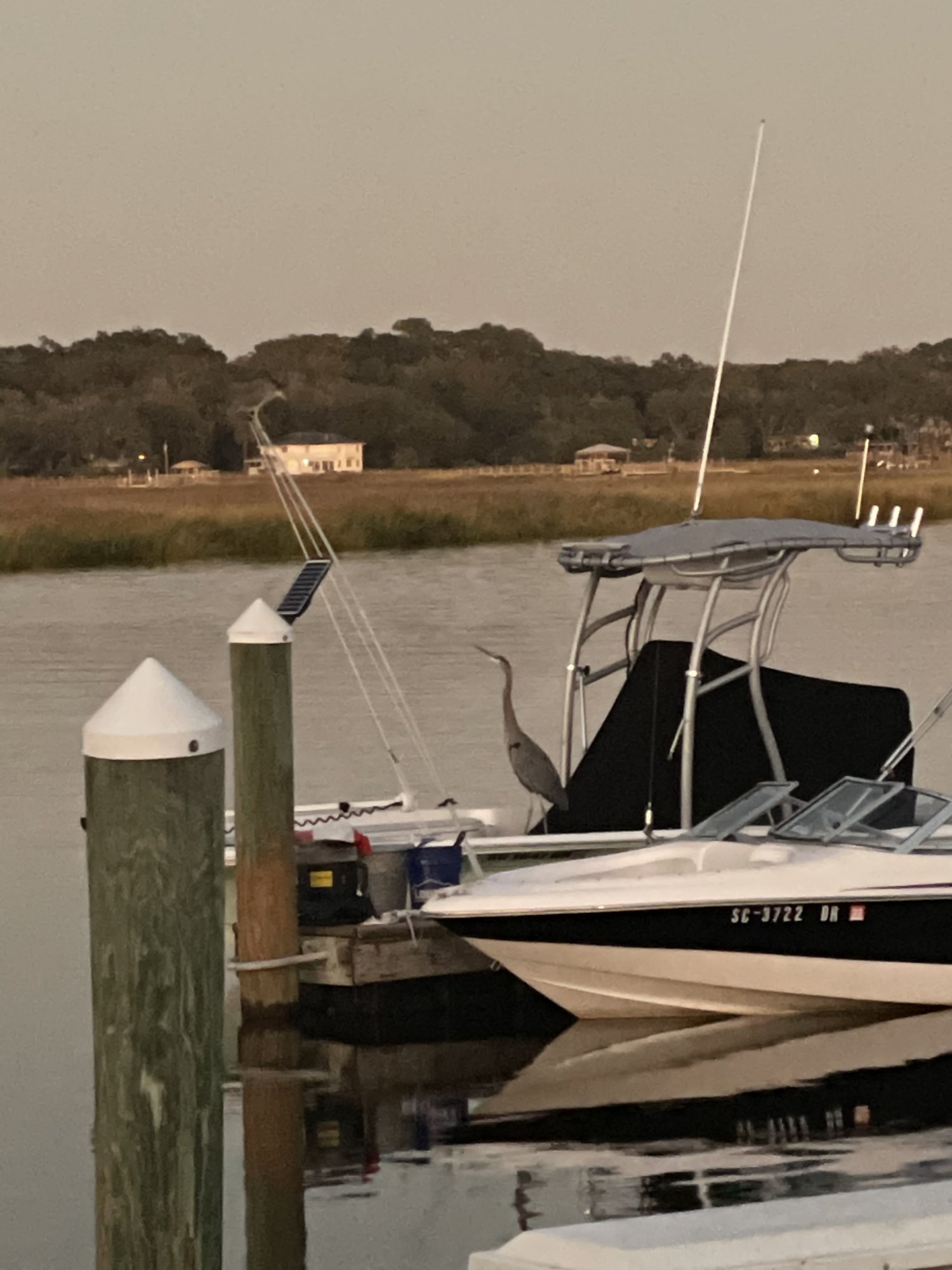 3A852B07-9ABA-4139-85B6-535DE46EC1F5.jpeg