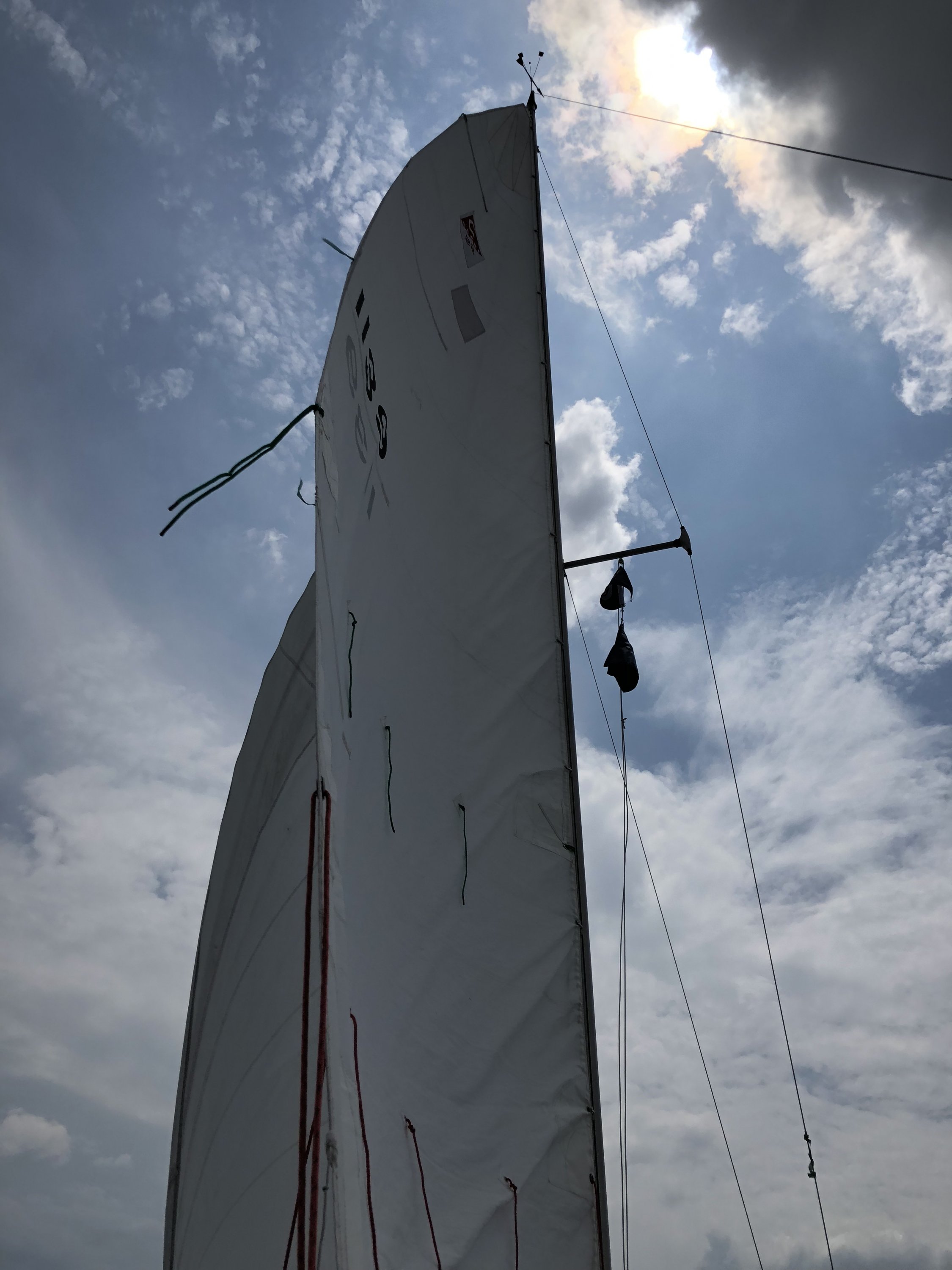 3A856F07-BB2F-4E21-B436-E934D6C28A40.jpeg