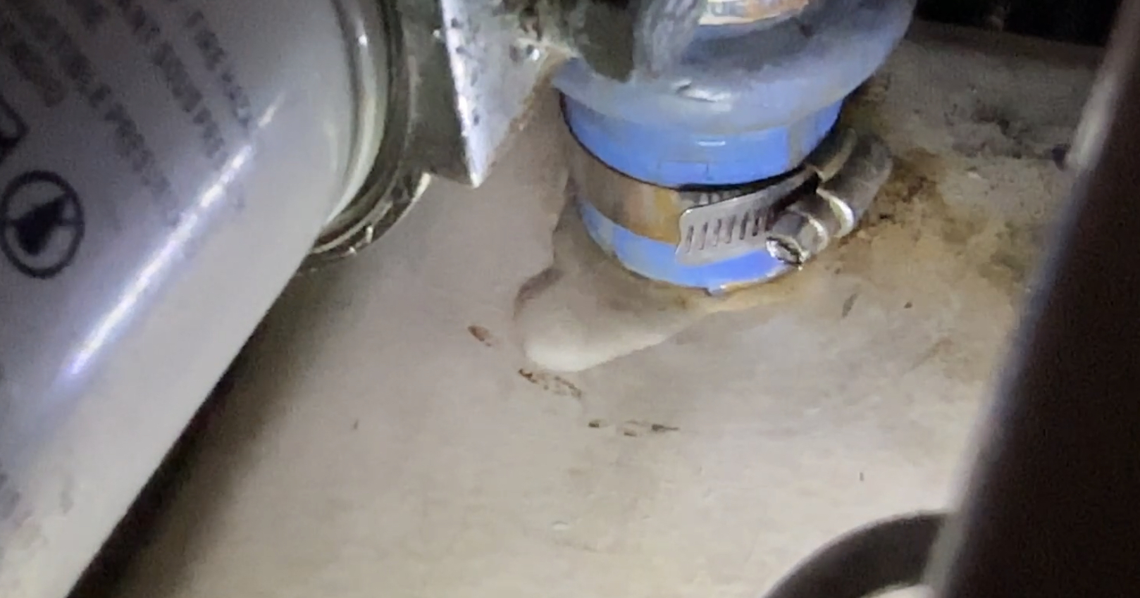 3EAA5E2F-CEB0-43CA-AE98-2378278DF552.jpeg