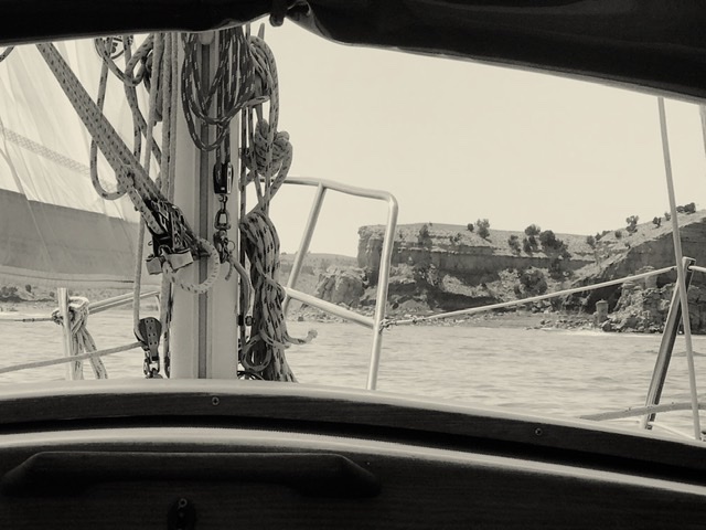 3ED703AF-A931-41D9-B06B-8F43155F85C1.jpeg