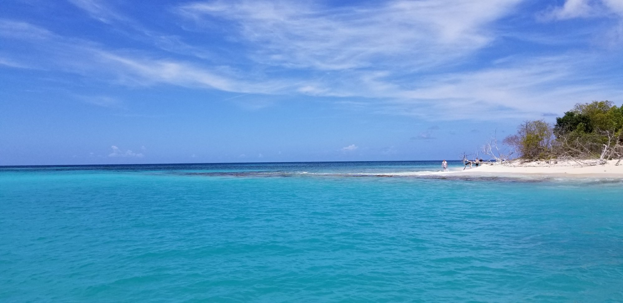 3F00530E-98D8-4064-B06A-DDDE9BC24F8D.jpeg