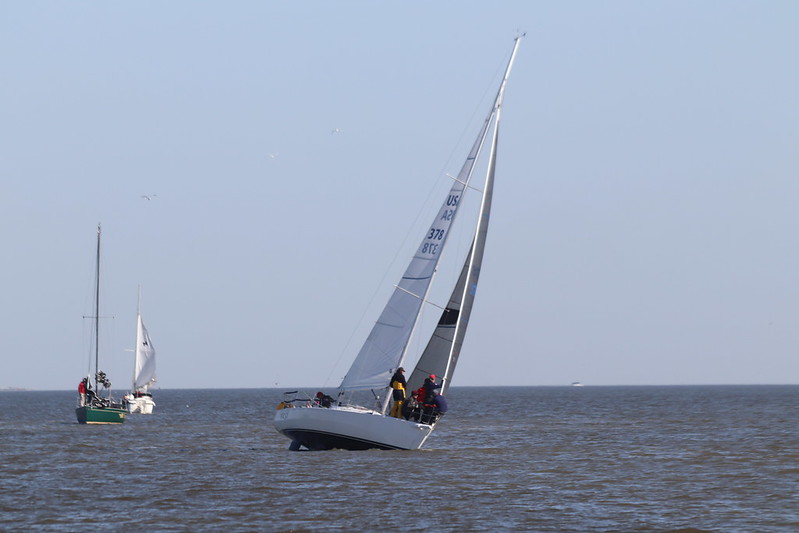 50843096176_05e6e3bf44_c (1).jpg