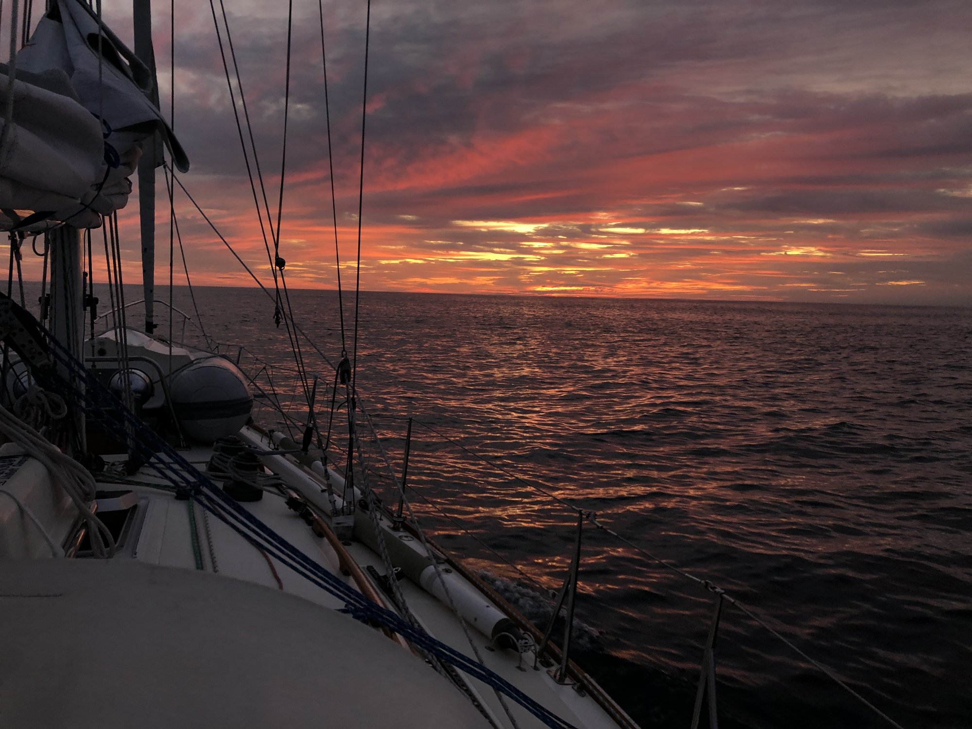 5096D5FE-E515-4EFE-ABF3-4D6424AE0F59.jpeg