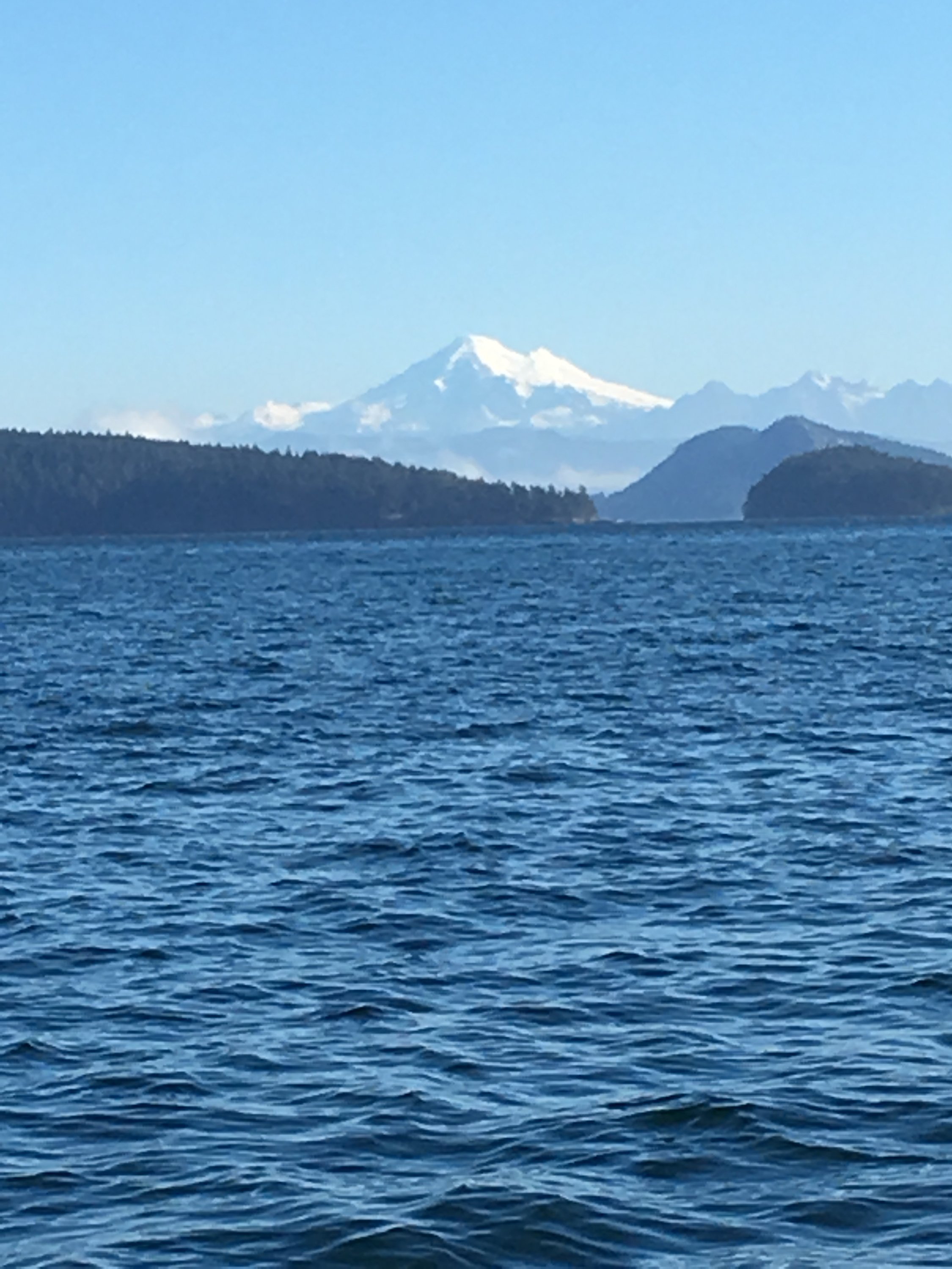 51DA5136-C20D-4D78-8239-E3B5127A9462.jpeg