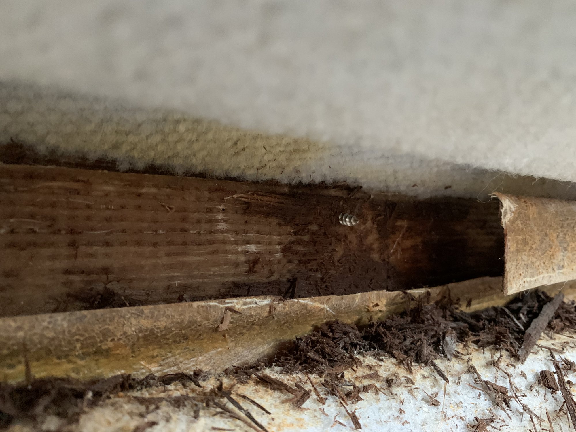 54FBA045-25AF-45DF-8BFC-6CE0D0785FEB.jpeg