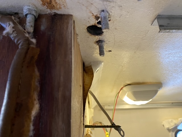 6240C978-5767-46D5-A6B1-788F5F01D096.jpeg