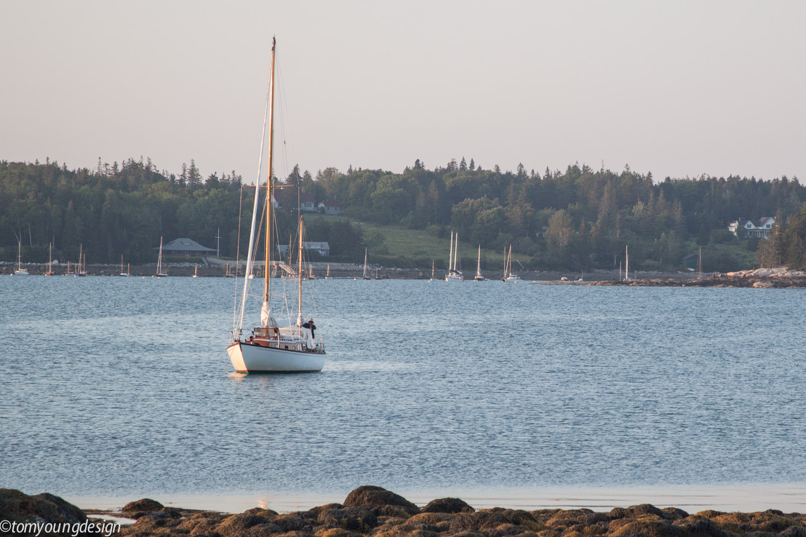 7 pm off Brooklin.jpg