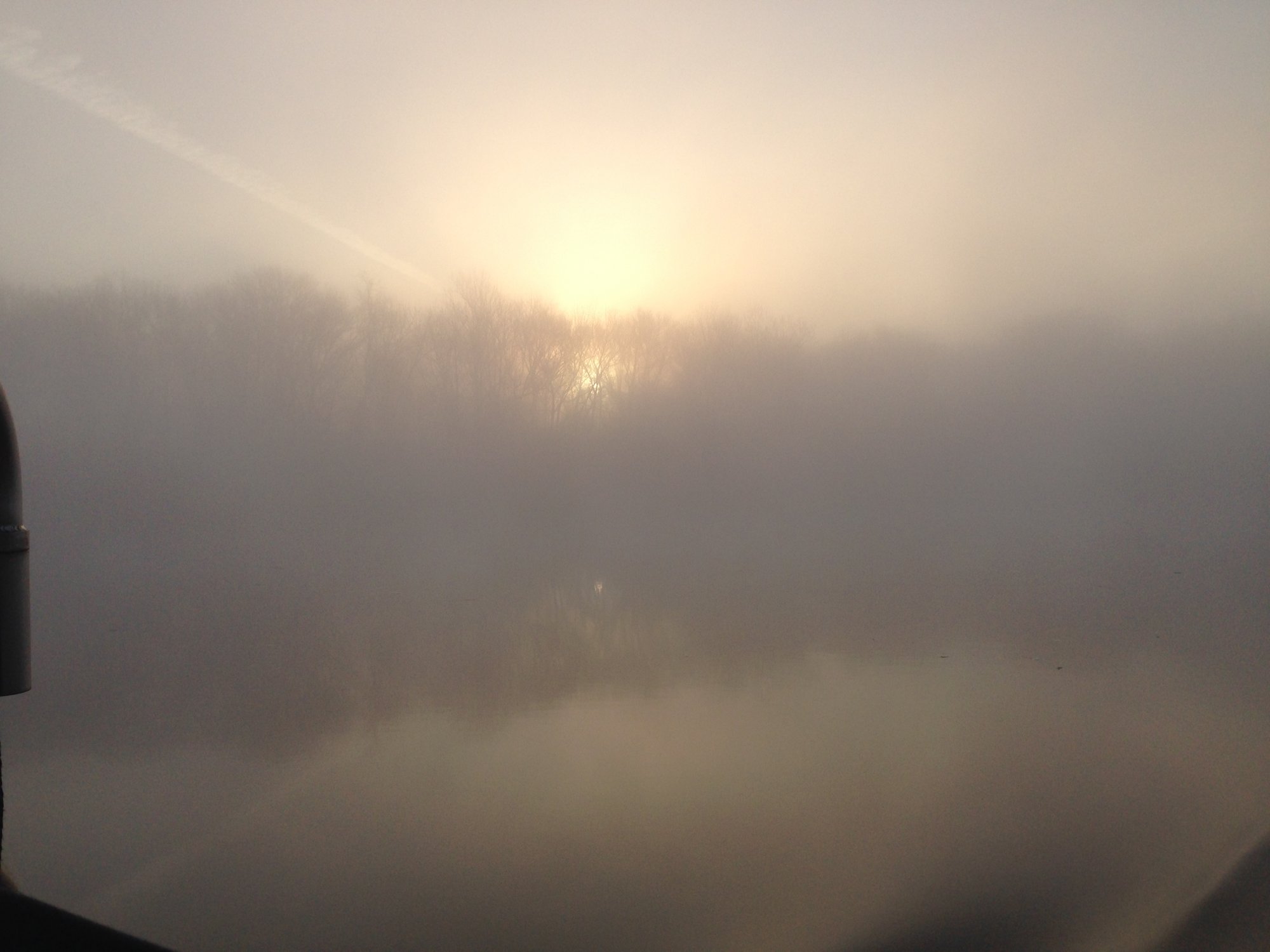 756547C0-1315-4C08-9E35-AC44F28B09D9.jpeg
