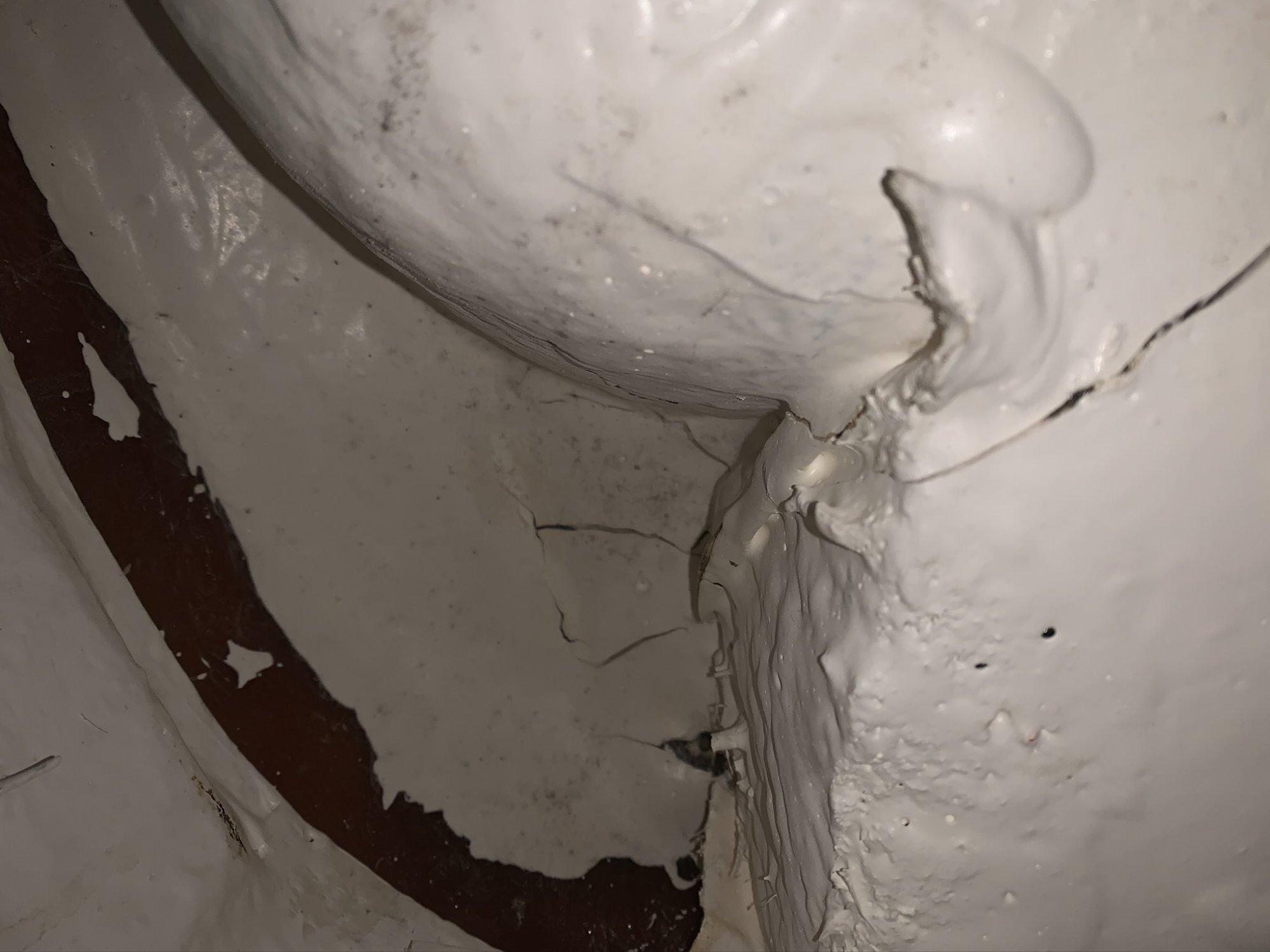 99B09D1A-1603-4B85-B40A-6C6432F76800.jpeg
