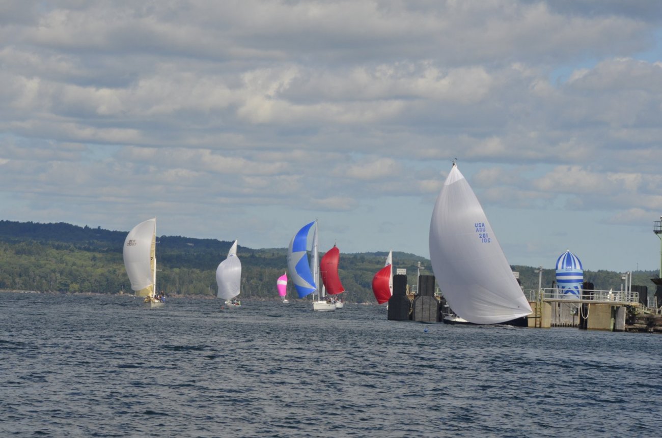 _DSC8595.JPG