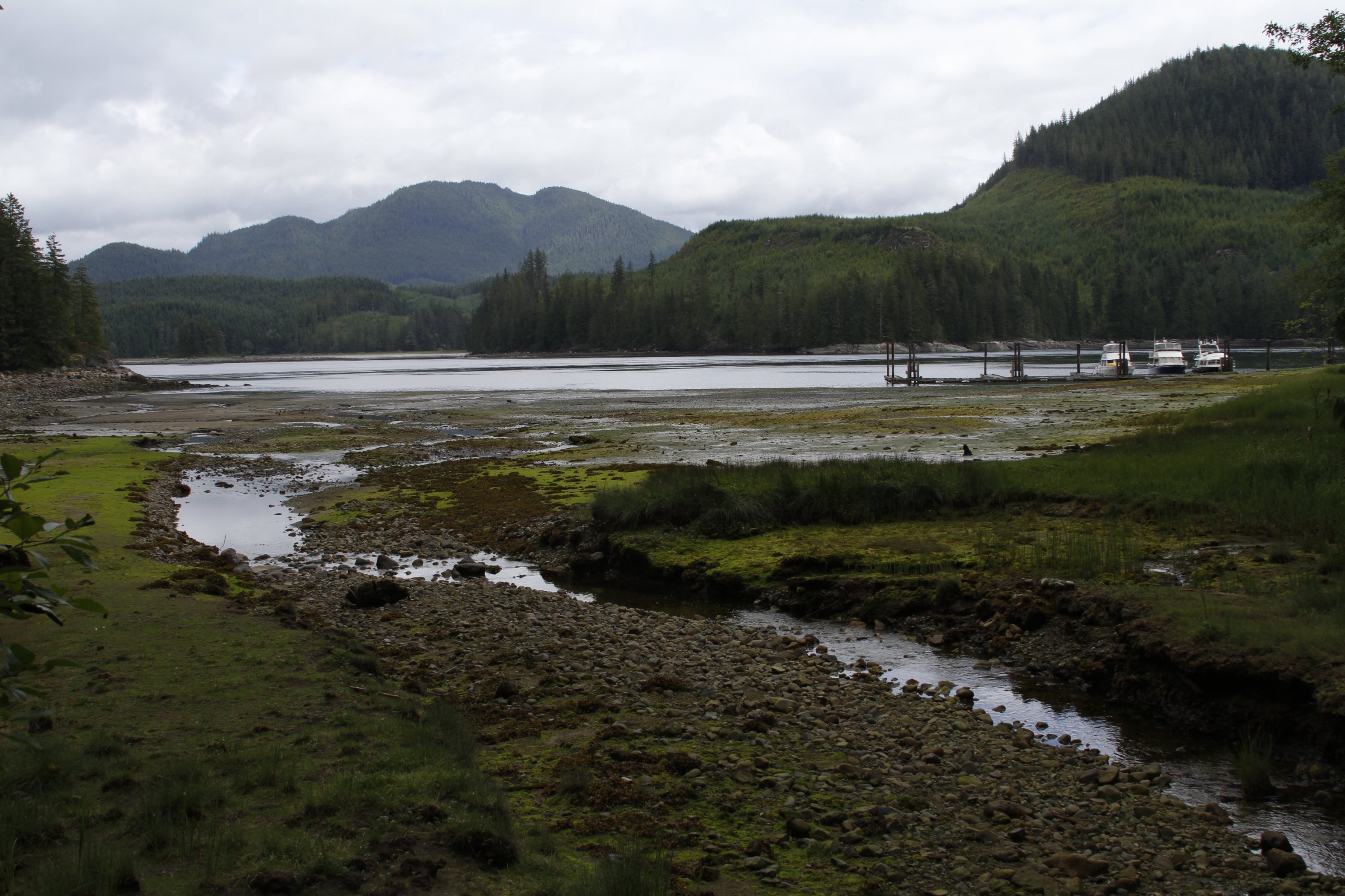 _MG_5971.JPG