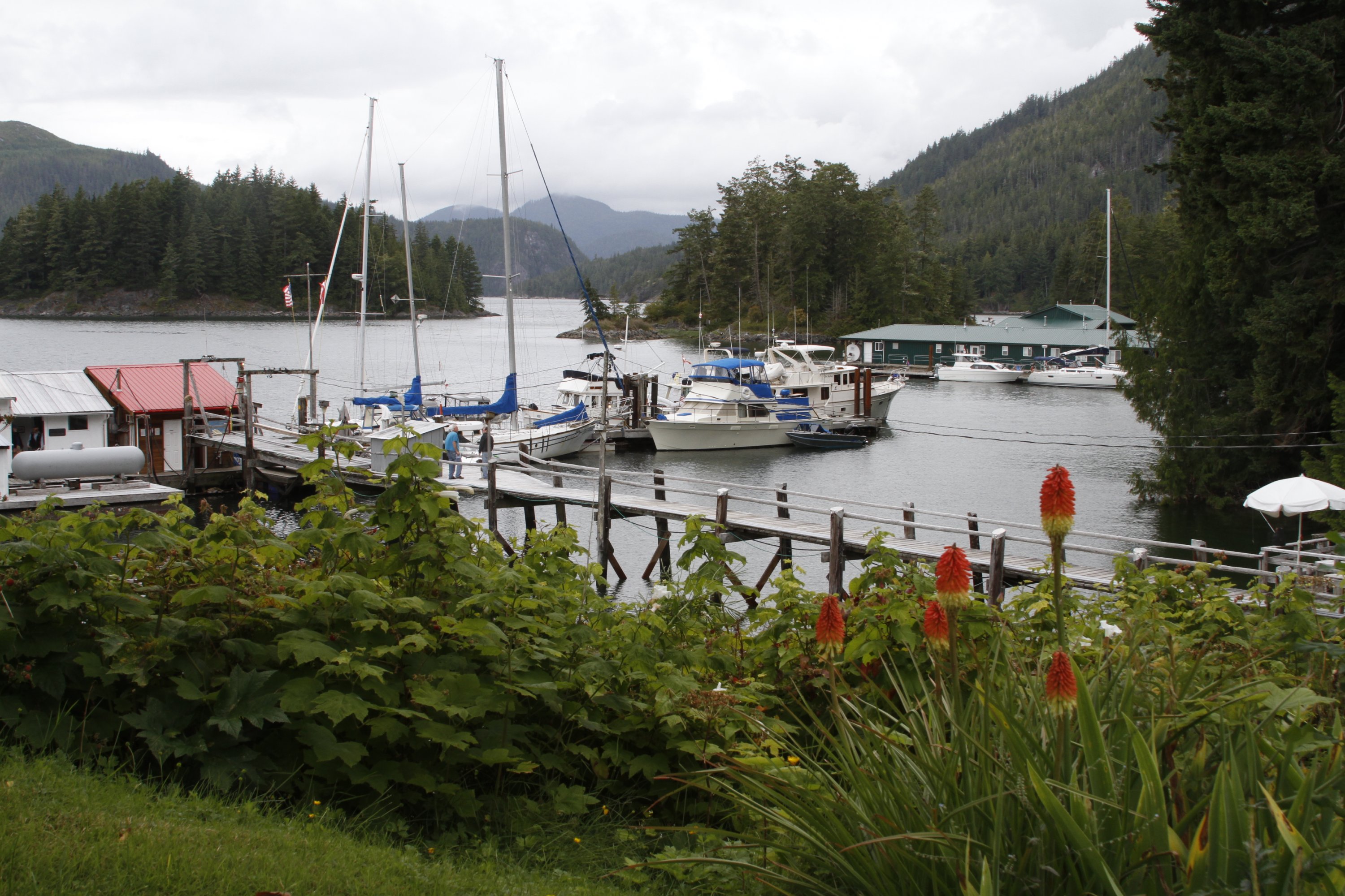 _MG_6040.JPG