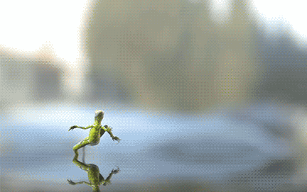 A225025E-EE13-48AF-936A-7985A96991BA.gif
